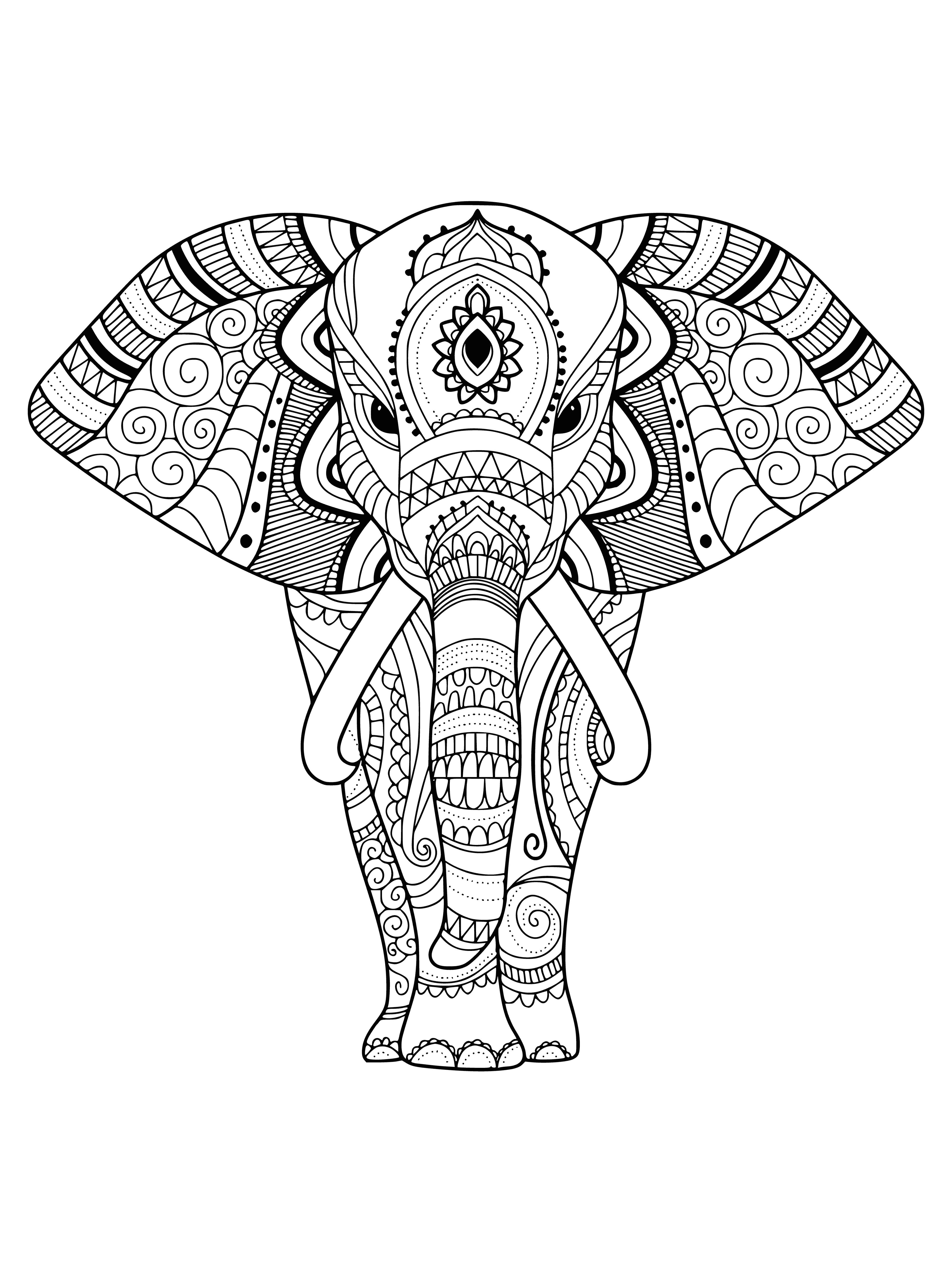 coloring page: Coloring page of an elephant with its trunk raised, large ears, and tusks; standing on grass. #coloringpage #elephant