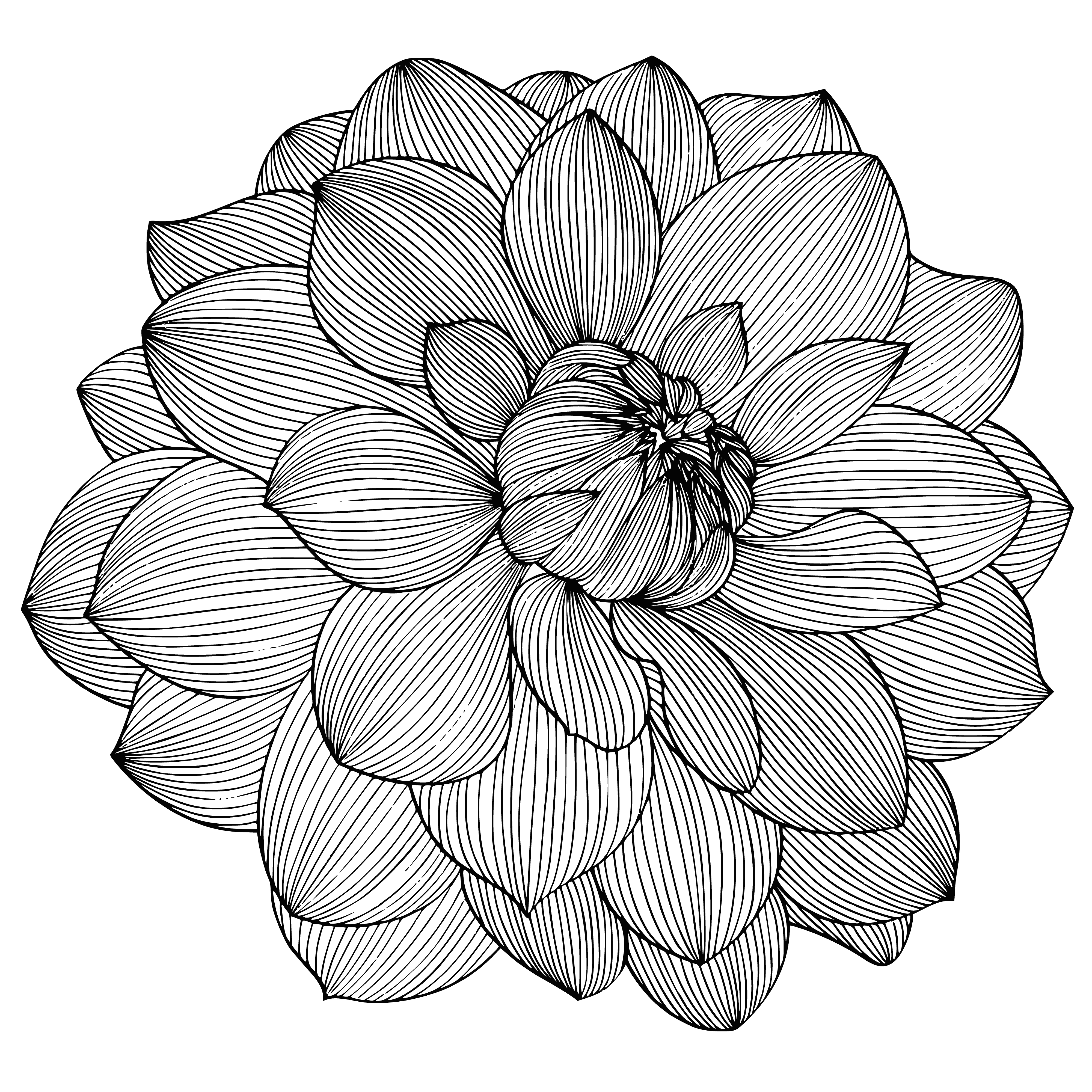 coloring page: Beautiful flower coloring page with pink petals, white center, green stem, and leaves.