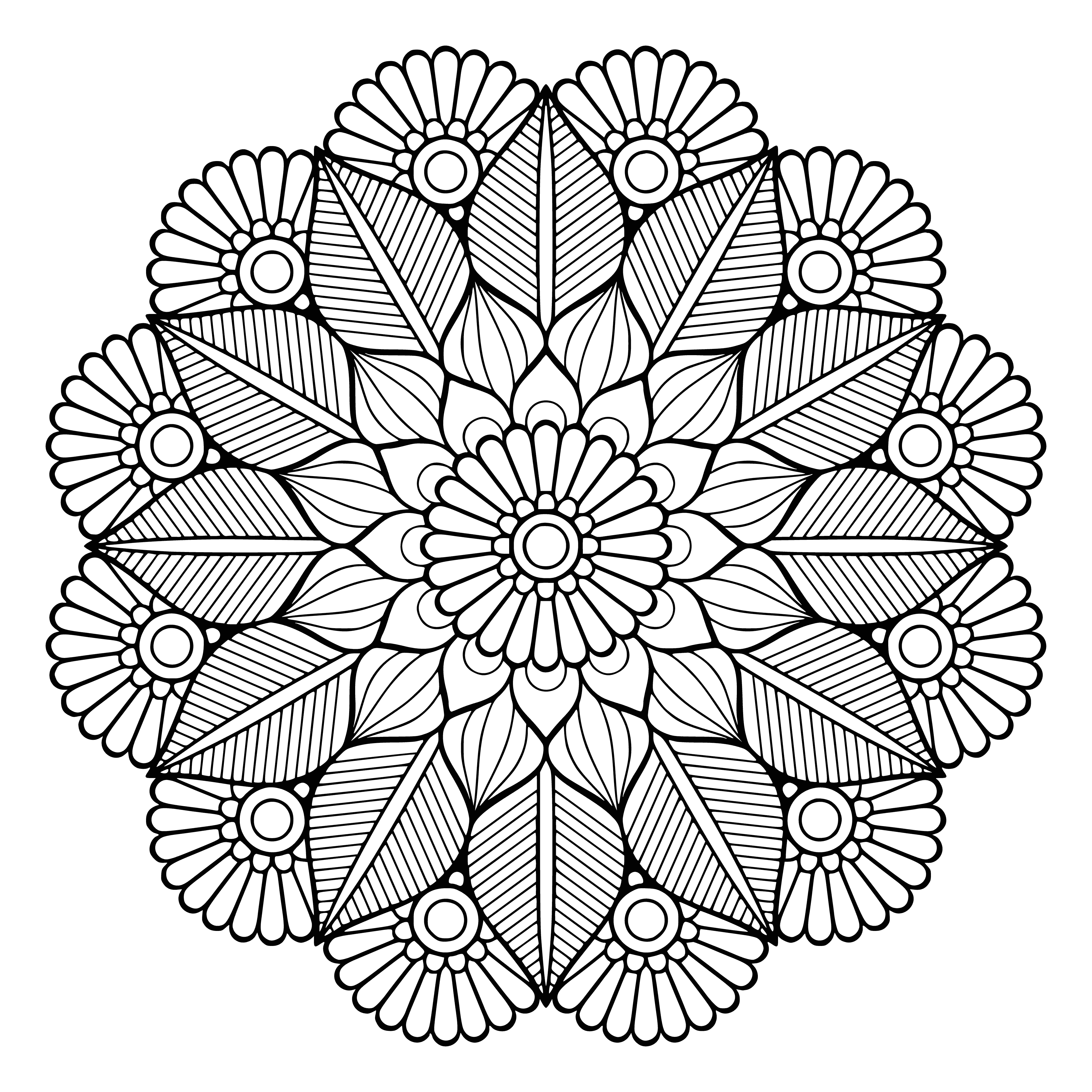 coloring page: Colorful flower mandalas with 8-5 petals, differing shades of pink/purple/blue, & small green leaves in the center.
