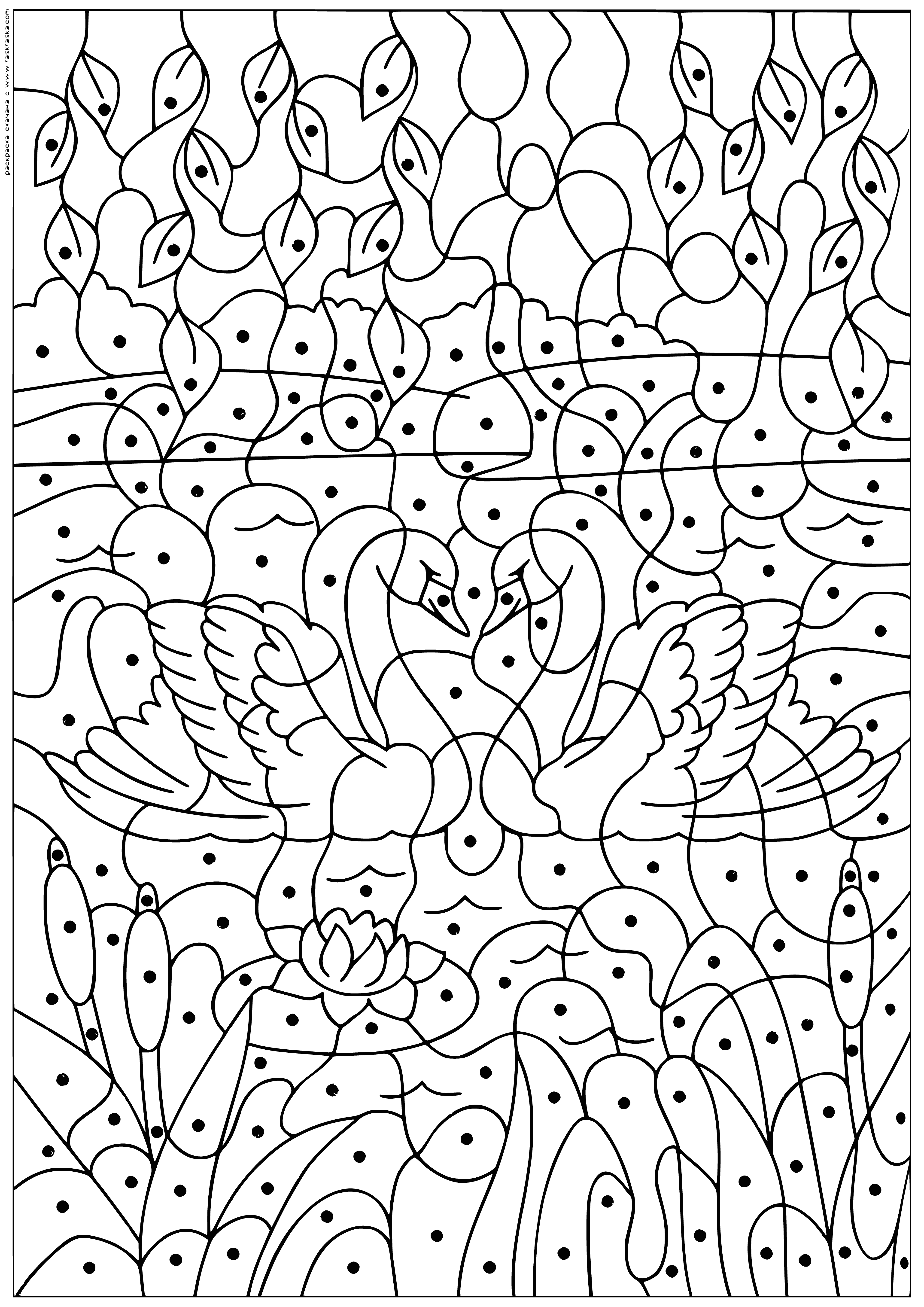 coloring page: A graceful swan spreads its wings, ready to take off on a calm blue pond.
