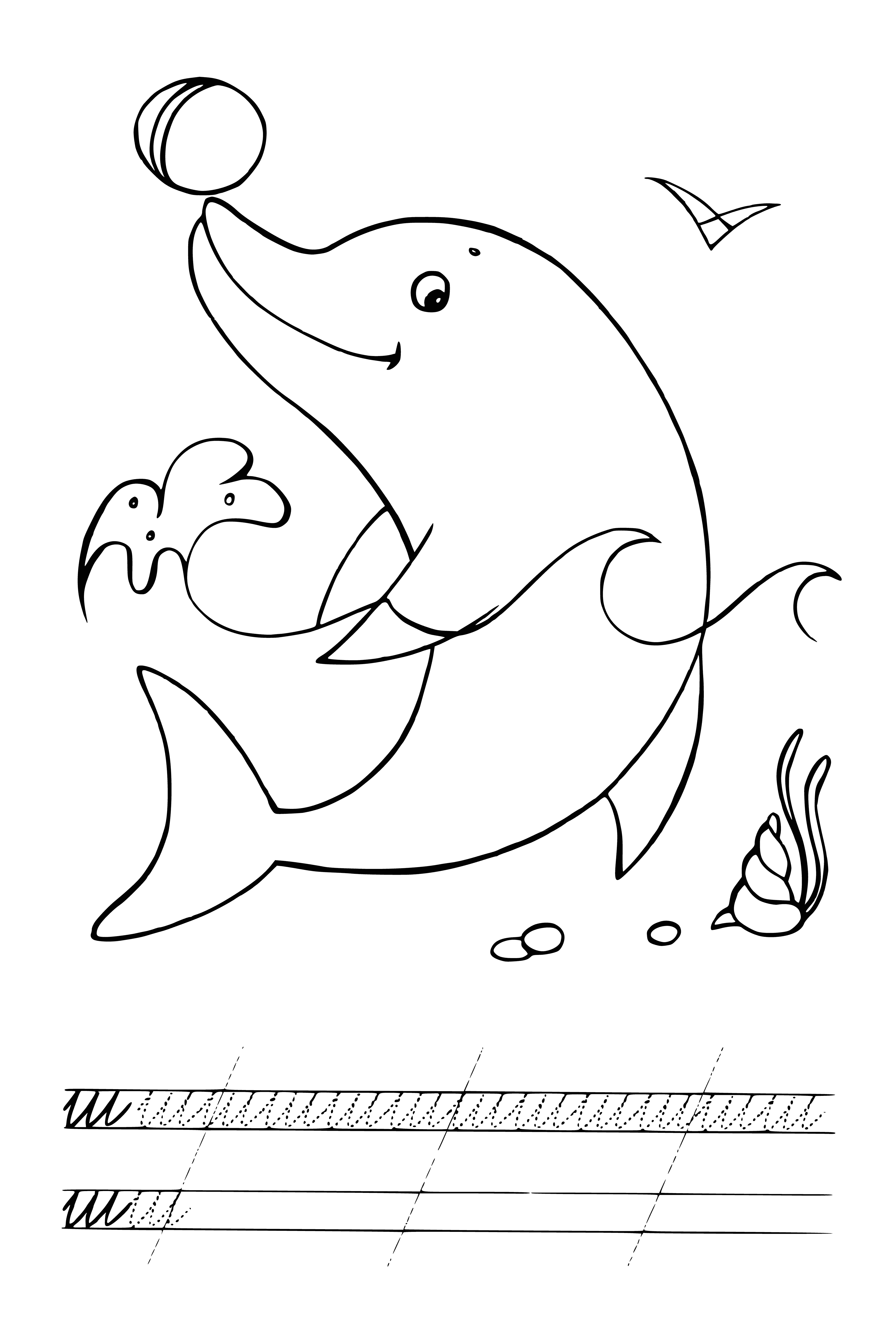 Dolphin coloring page