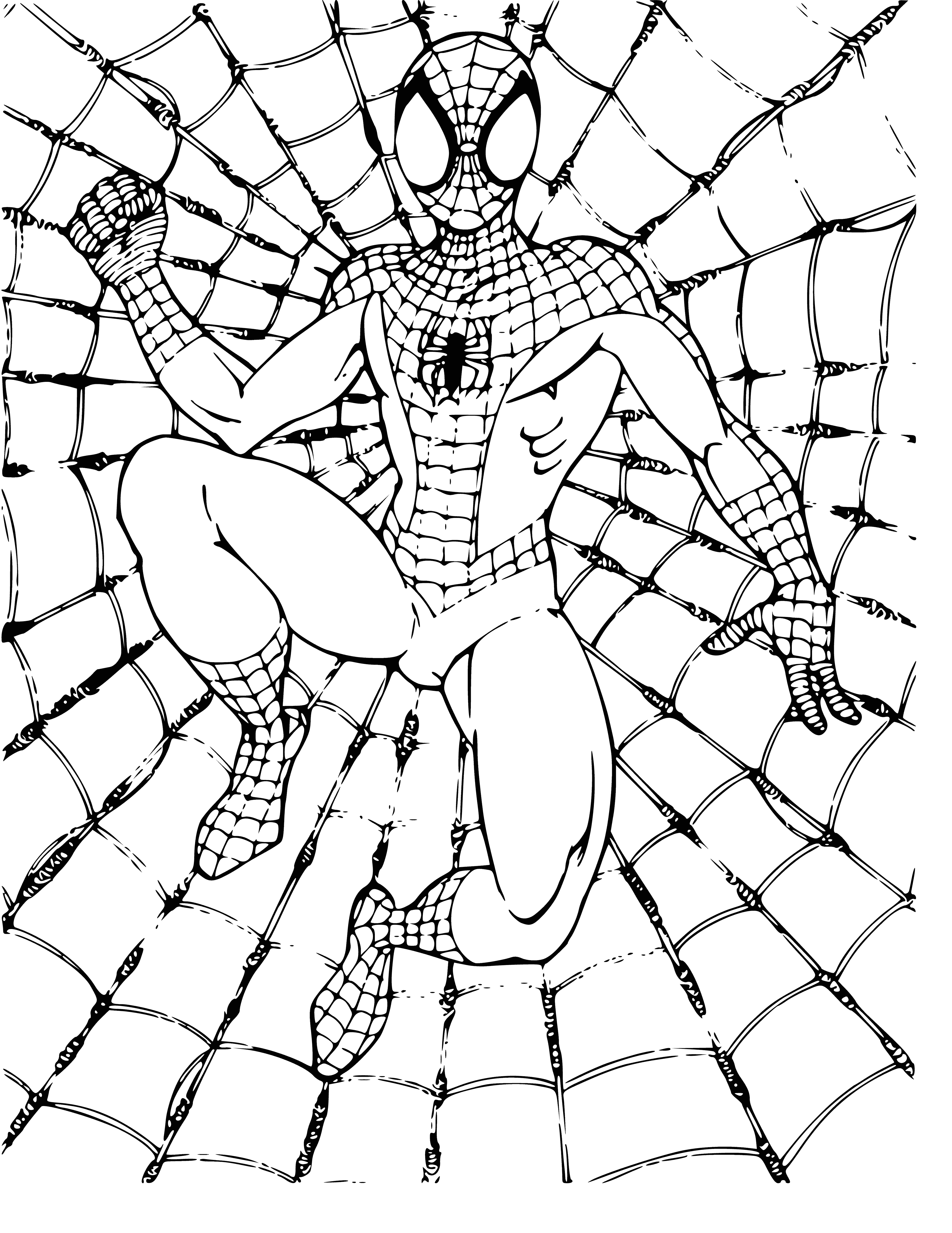 coloring page: Spider in center of web attaches to tree, building, and ground. Black with white stripe, 8 legs.