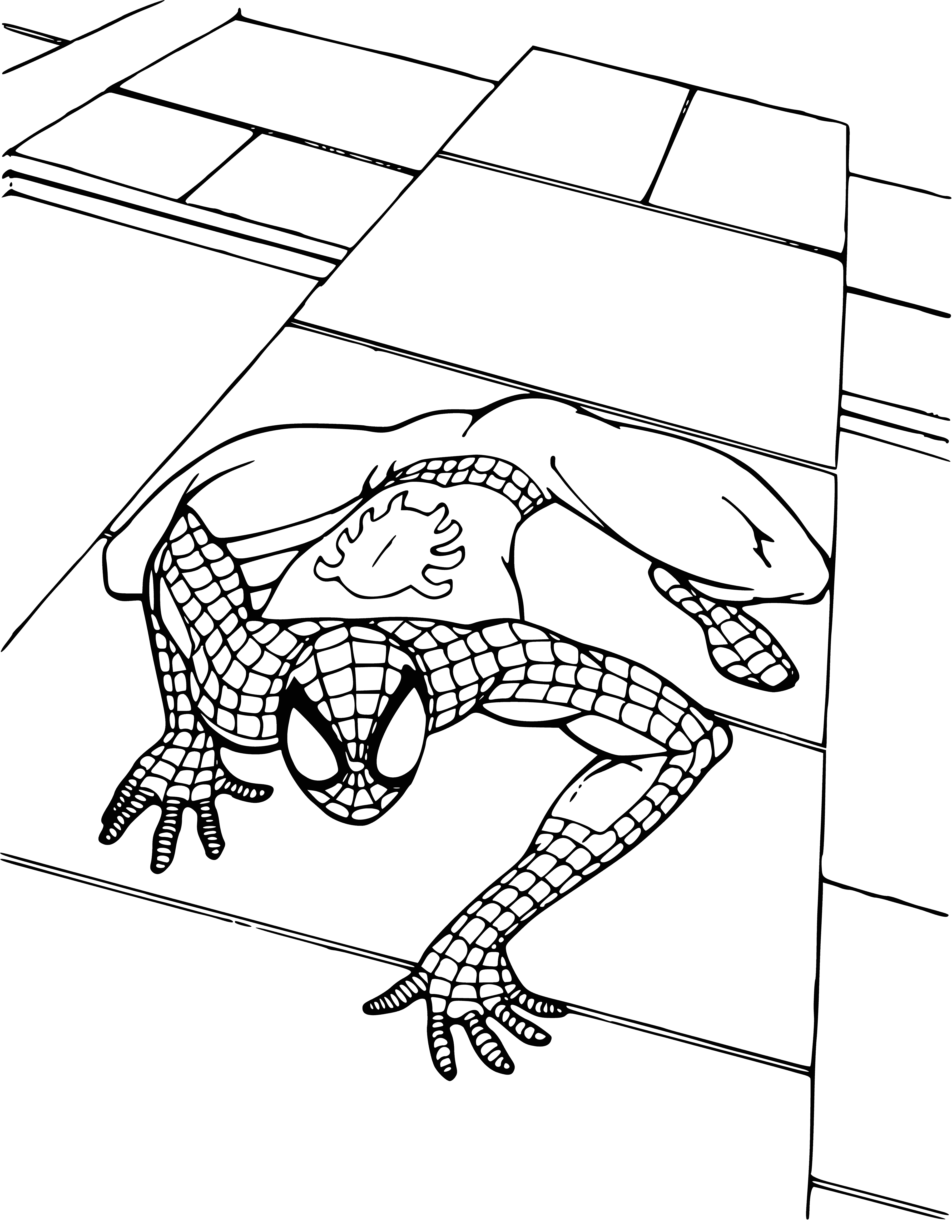 coloring page: Spider-Man hangs upside-down, web sling around his waist, arms stretched & bent, legs crossed.