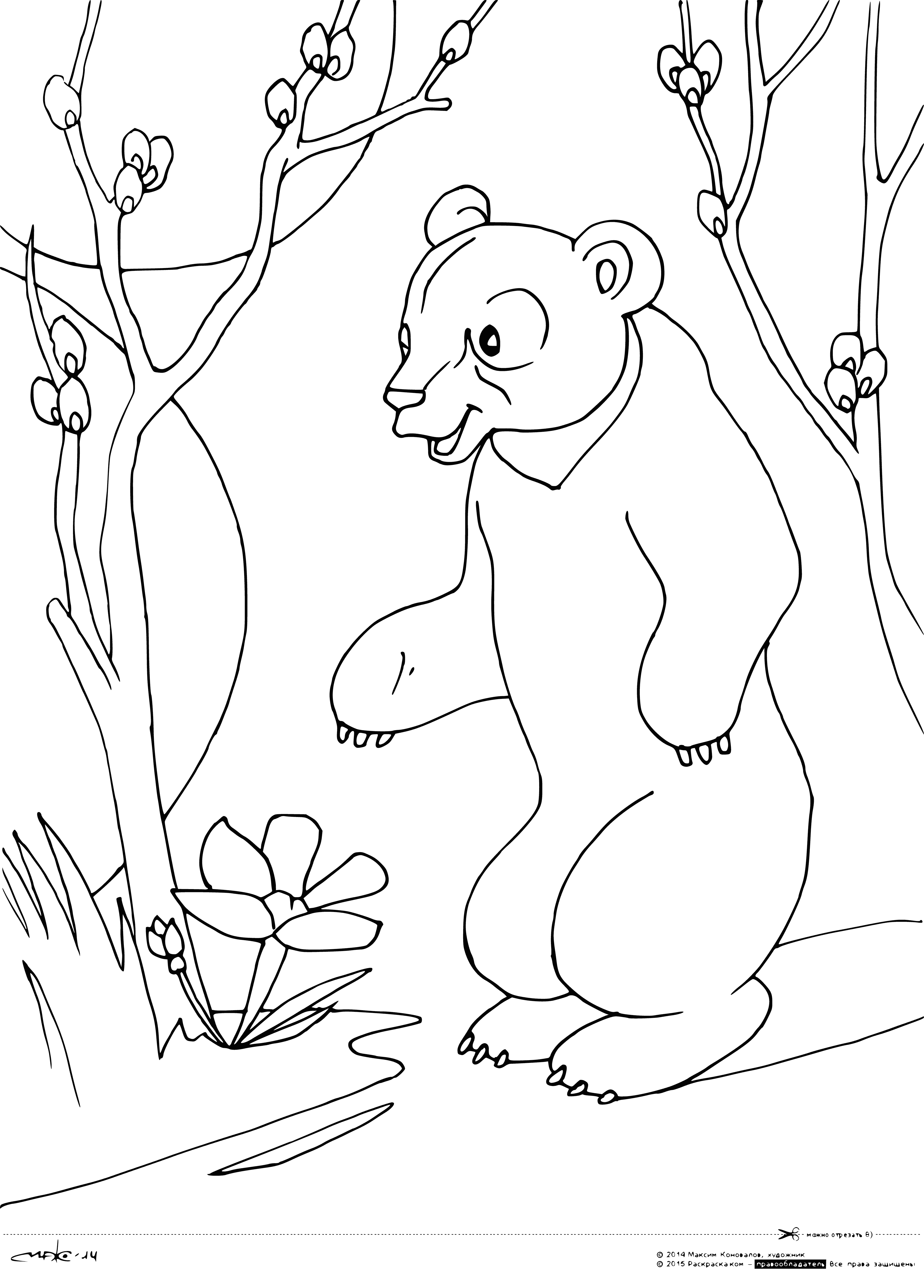 First flowers coloring page