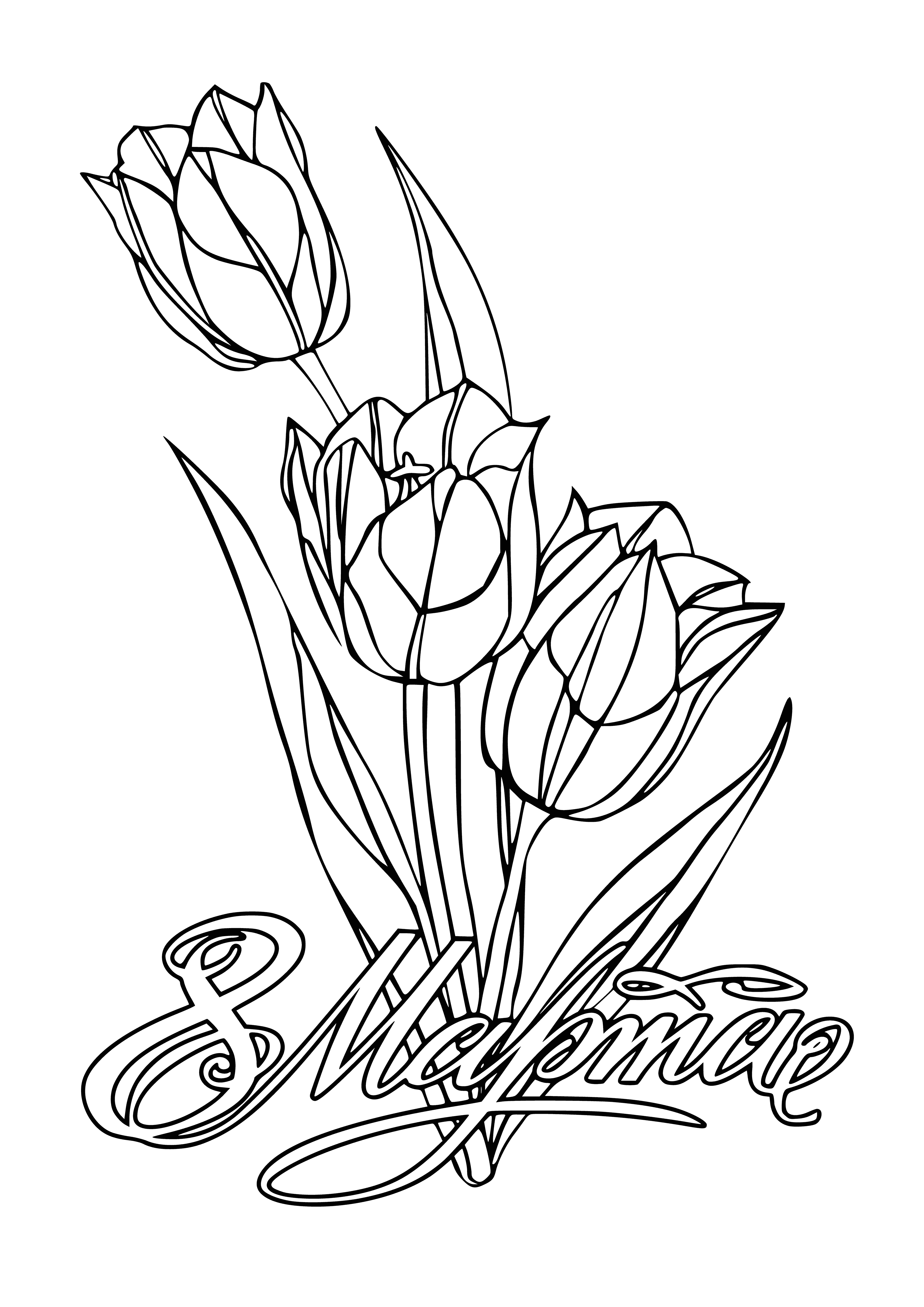 coloring page: Colorful tulips in a vase of differing colors in full bloom with visible stems and leaves. Vase is white and curved. #BotanicalBeauty