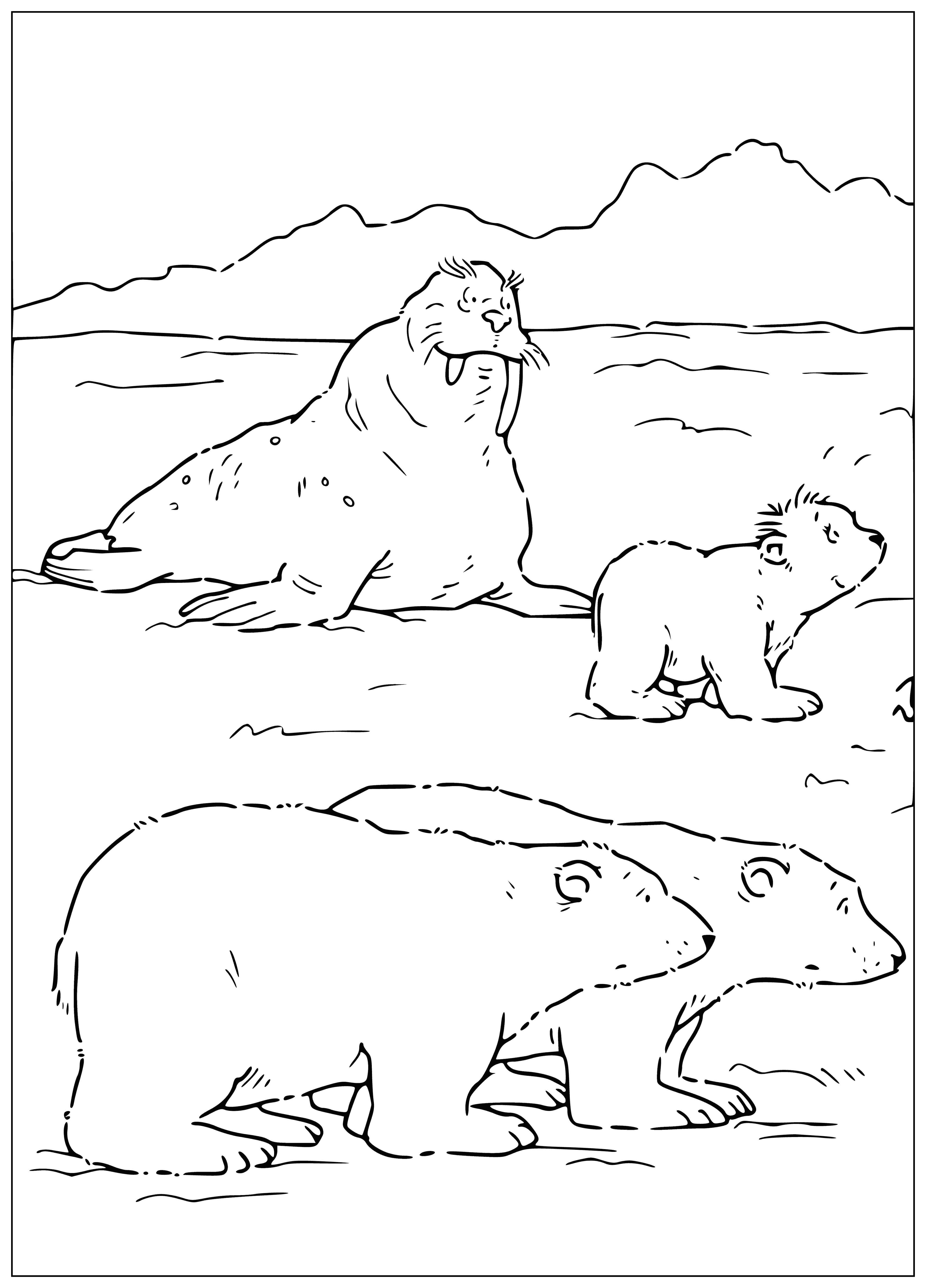 coloring page: Polar bear & walrus sit on an ice floe, one small & one large. Polar bear has white coat & black eyes; walrus has tusks & large nose. They look at each other.