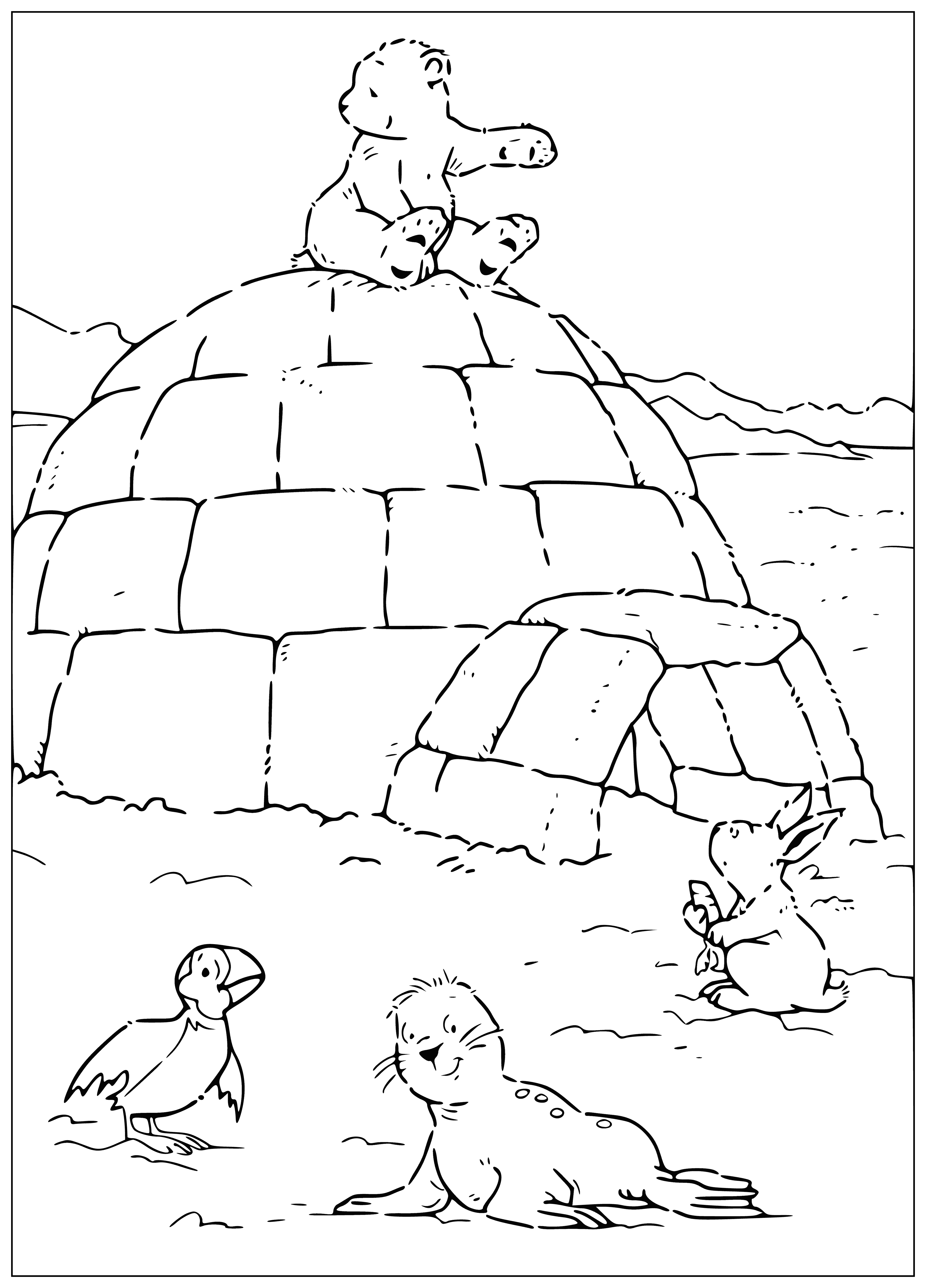 coloring page: Polar bear looks up at sky while standing on melting ice block near igloo in coloring page.
