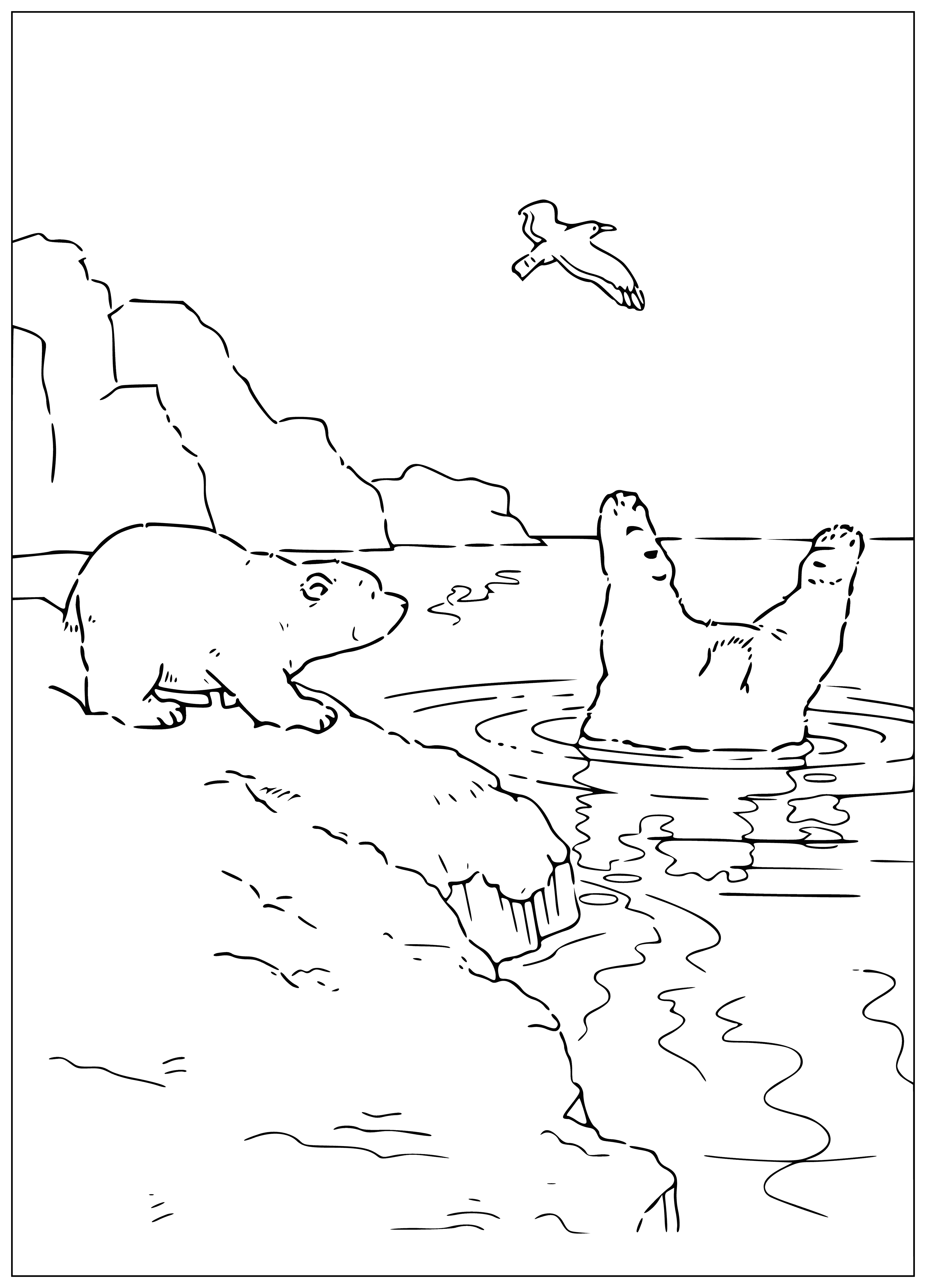 coloring page: Small polar bear cub takes a bath, splashing and enjoying the refreshing water with fur matted and face turned up to sky.