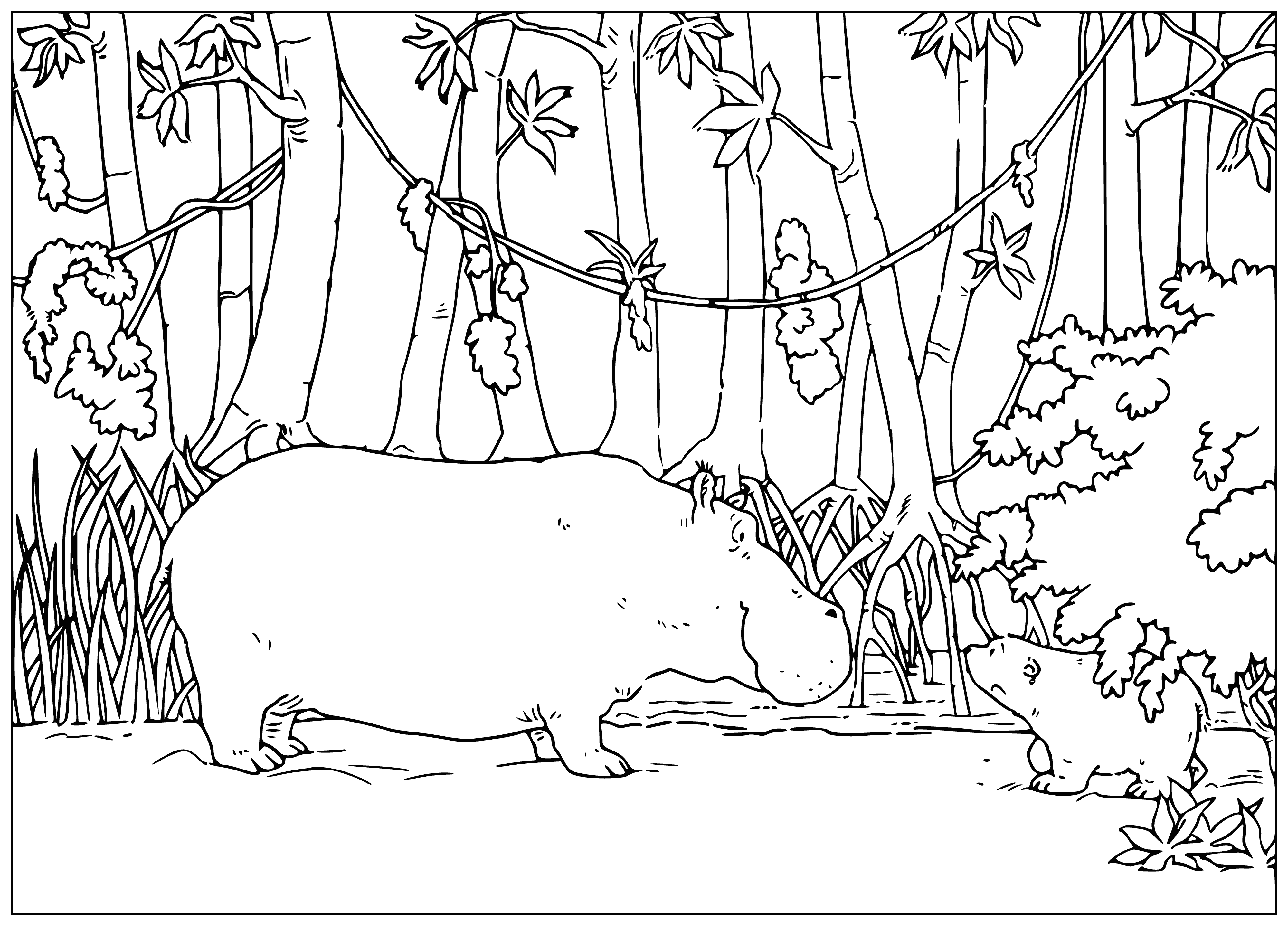 coloring page: Polar bear floats with a pink/purple fish; looks at hippo who sits, mouth open, looking back.