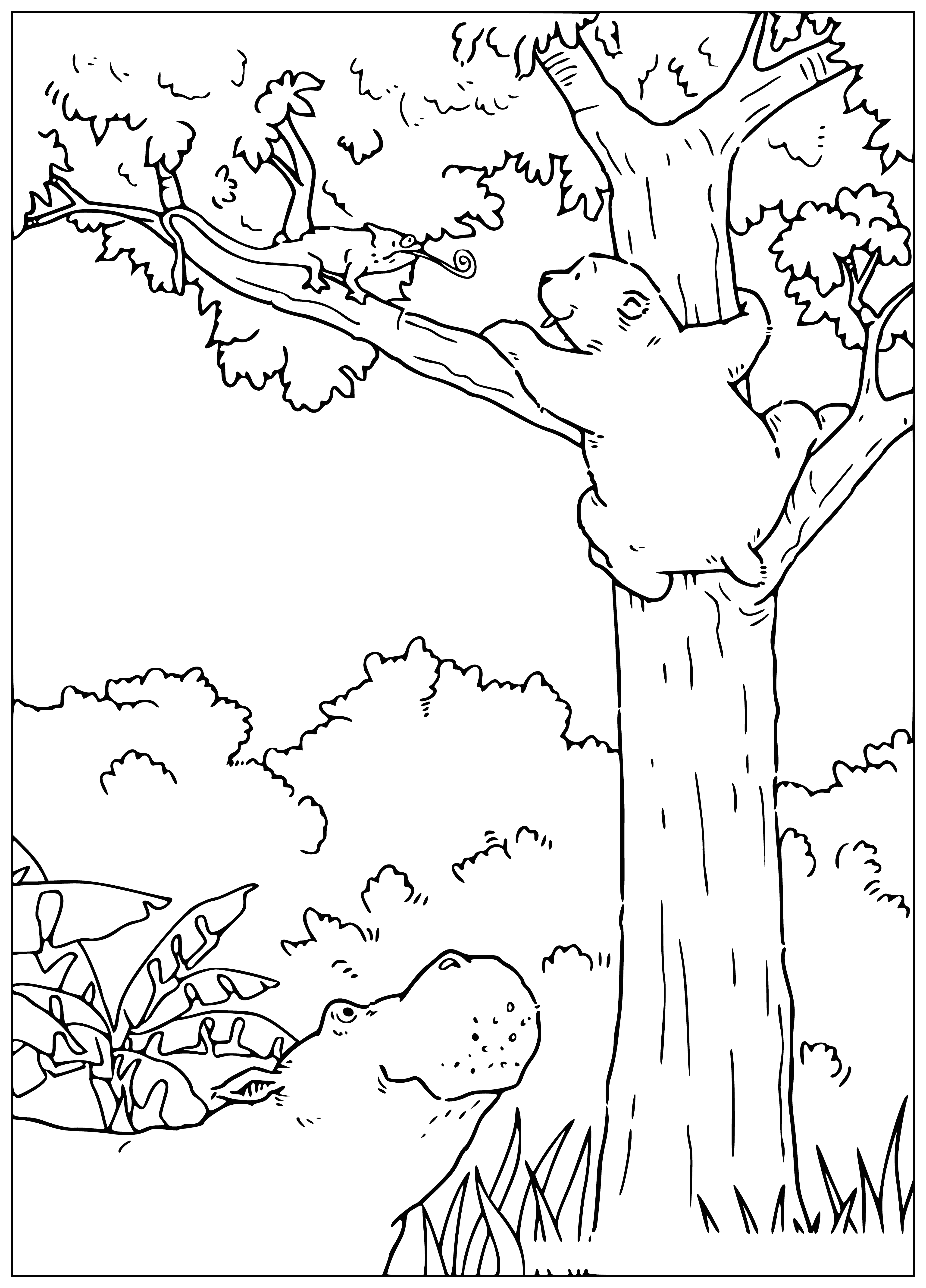 coloring page: Polar bear curiously holds colorful chameleon on leash in coloring page.