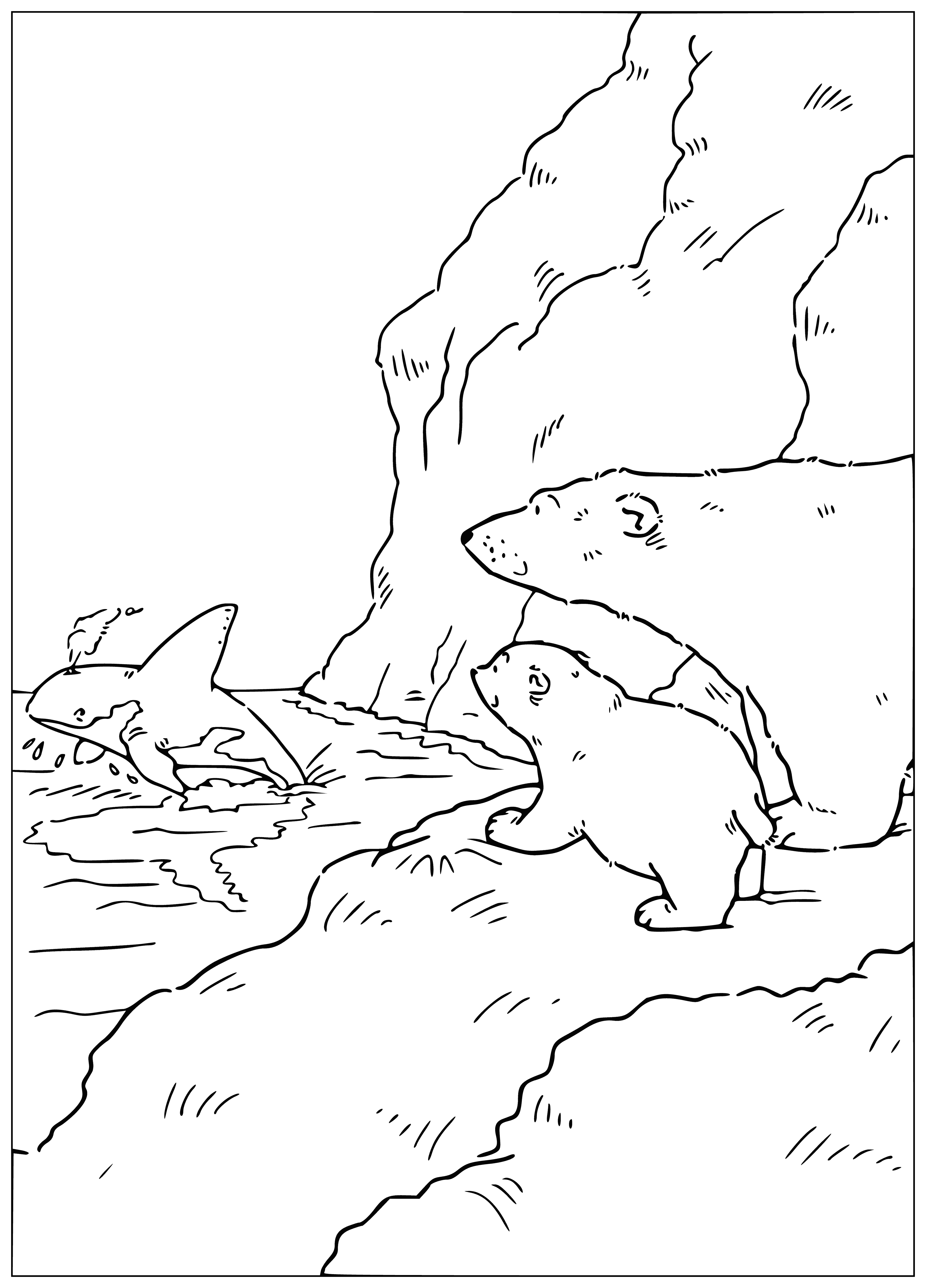 coloring page: Small polar bear looks in awe at large killer whale, mouth open in amazement.