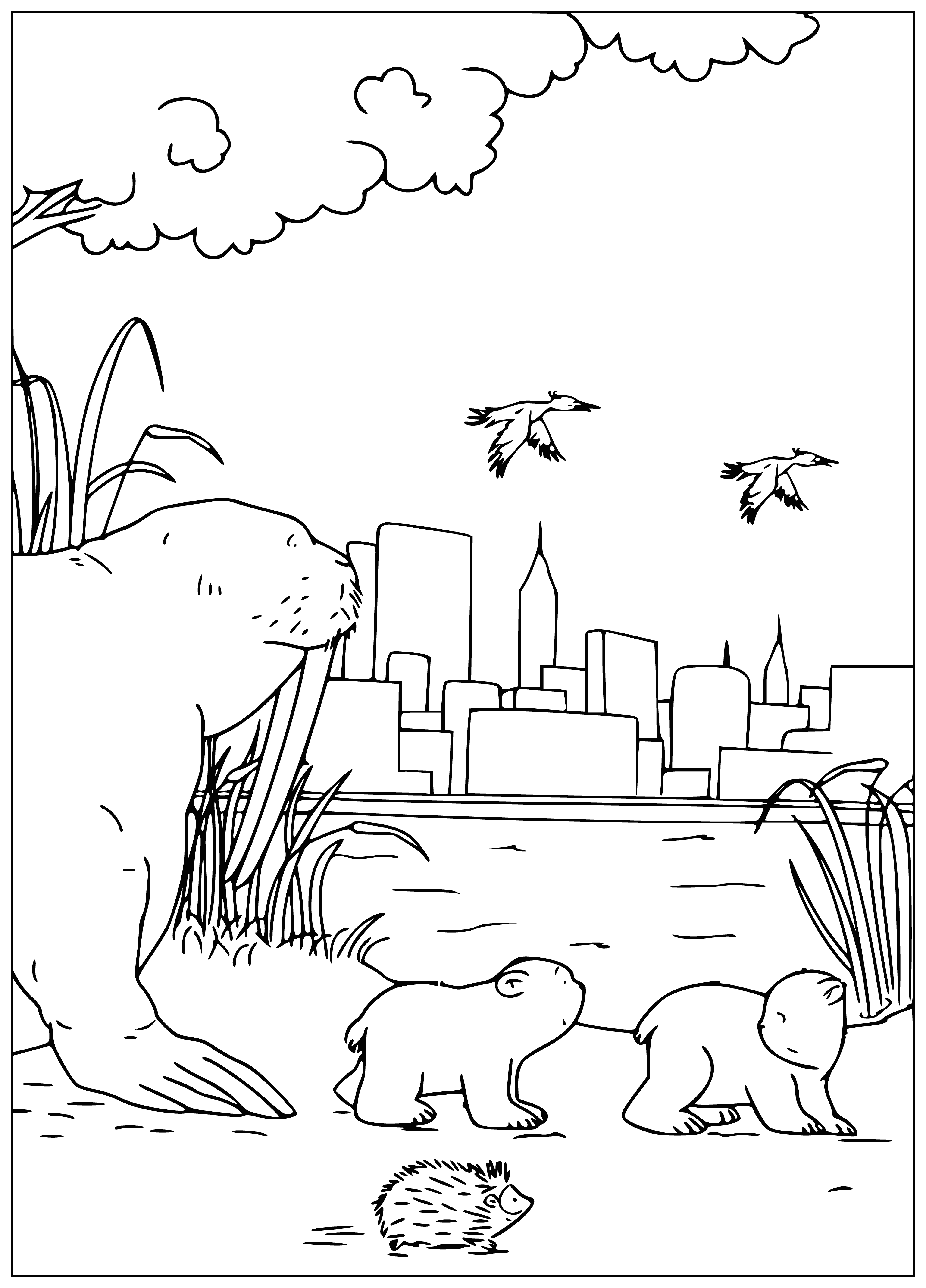 coloring page: Polar bear sees walrus and cubs on an ice floe, looking at it from the edge.