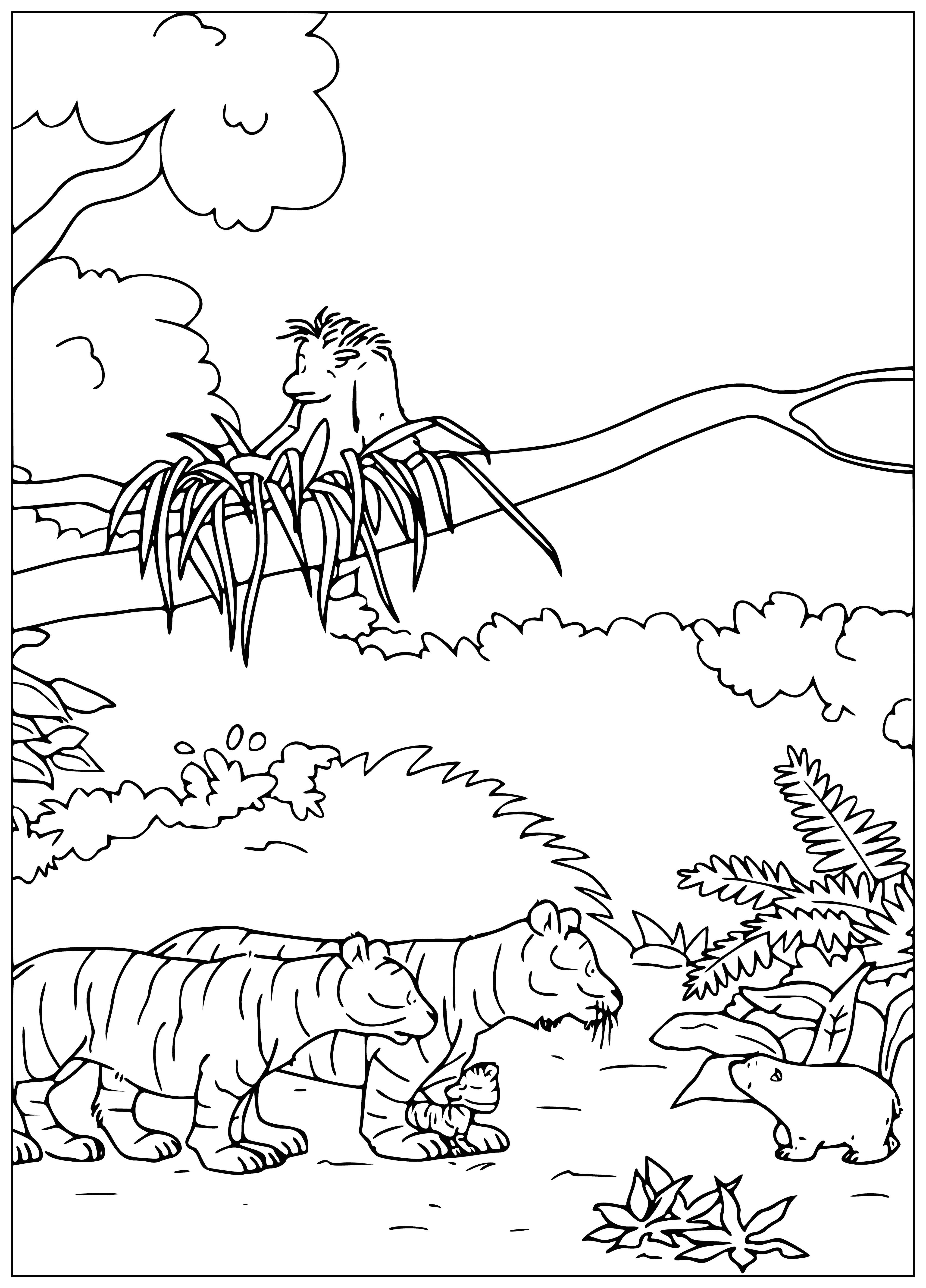 coloring page: Small polar bear cub, white with black spots, protected by parent tiger. Orange with black stripes, mouth open and left paw lifted, claws shown.