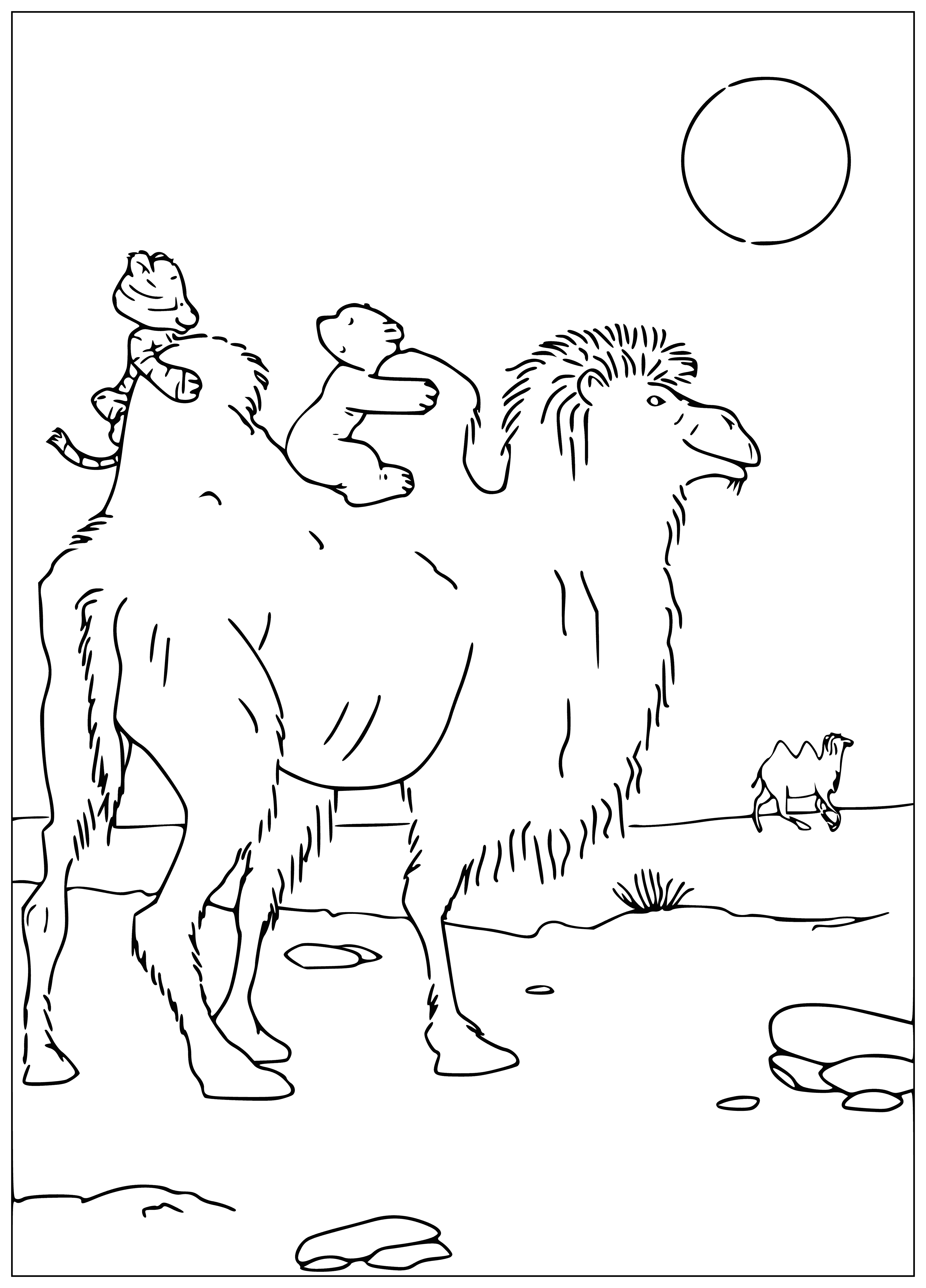 coloring page: Little polar bear and brown-furred camel share dark eyes, illustrating the beauty of nature and friendship.