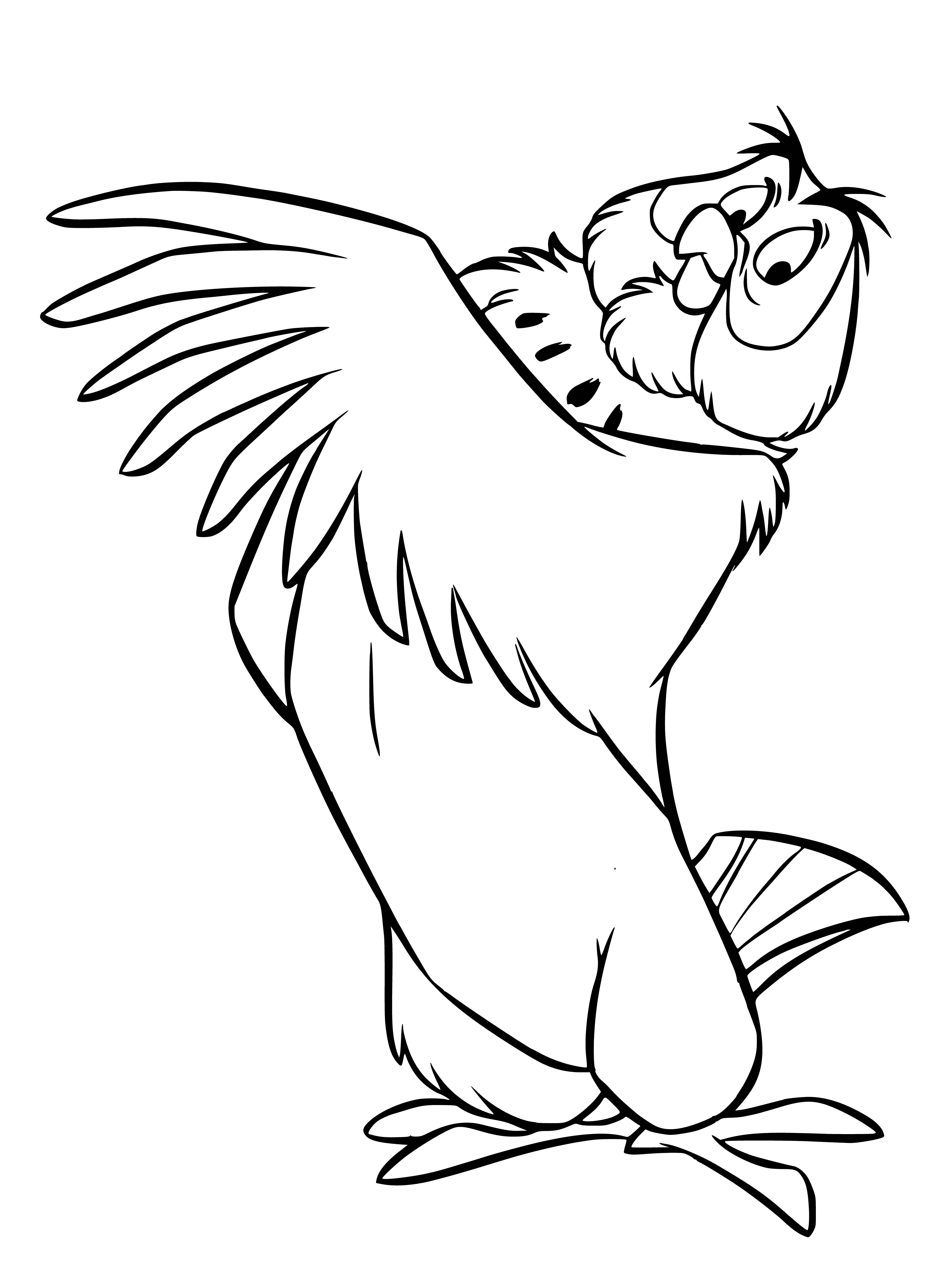 coloring page: Owl is the wise expert on Pooh's adventures. He helps solve everyone's problems with his wisdom.