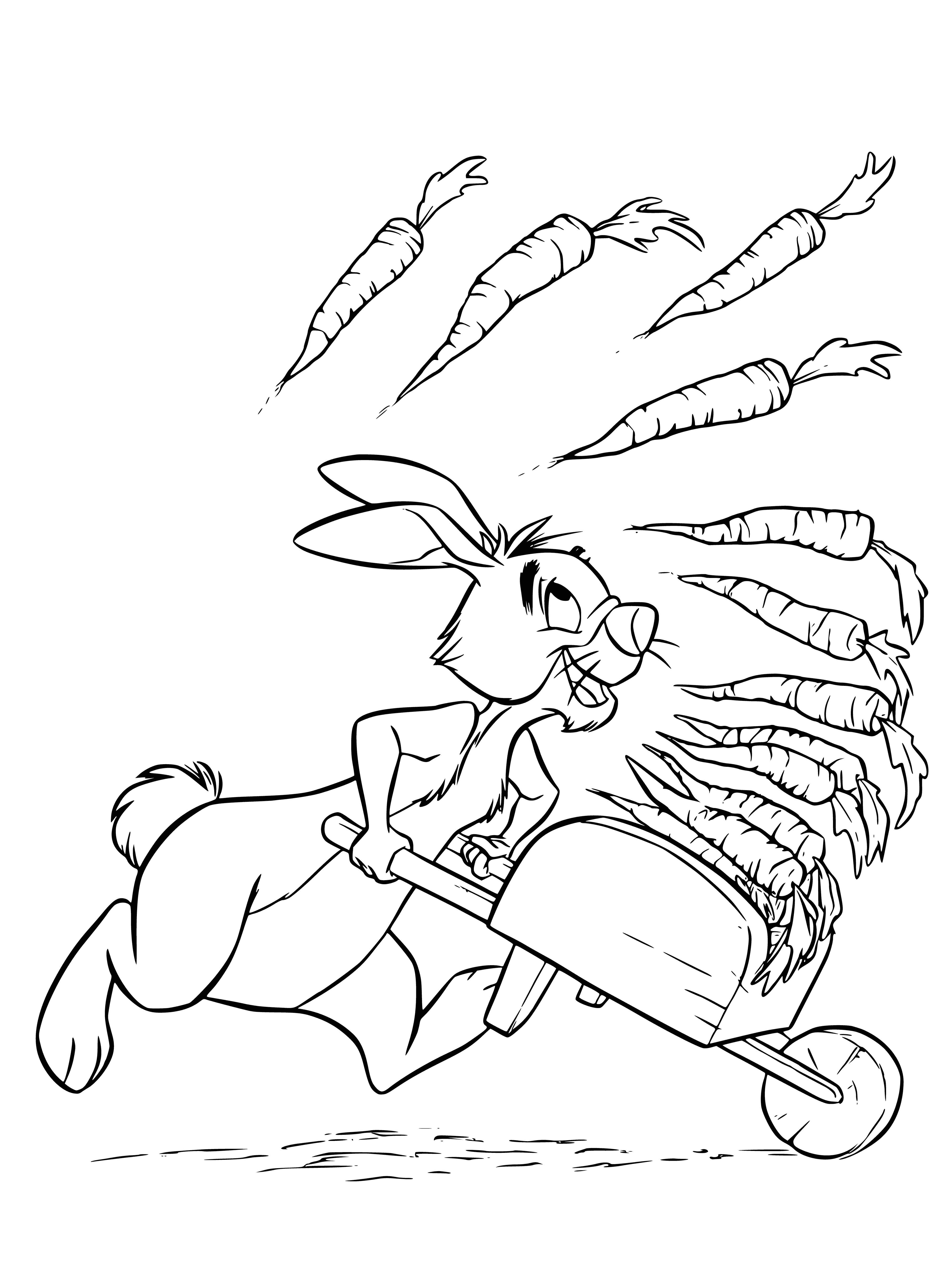 Rabbit and carrot harvest coloring page