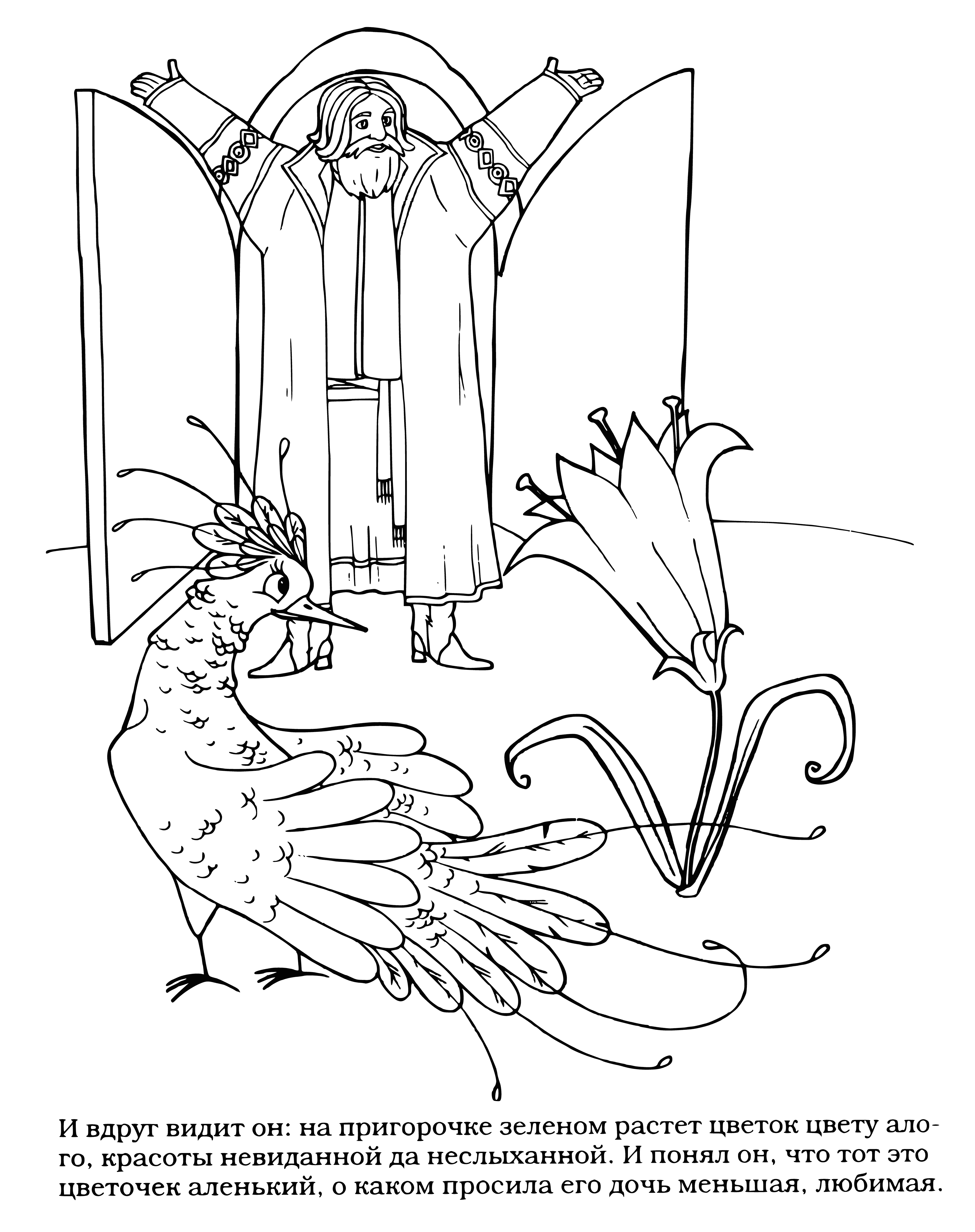 Scarlet flower coloring page