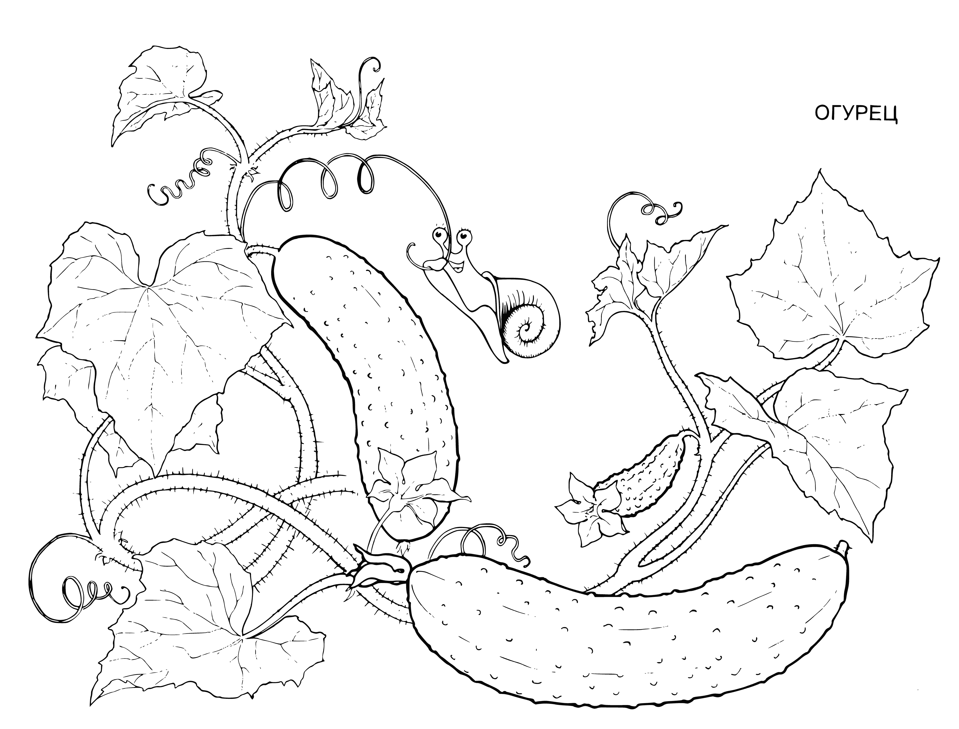 Cucumbers coloring page