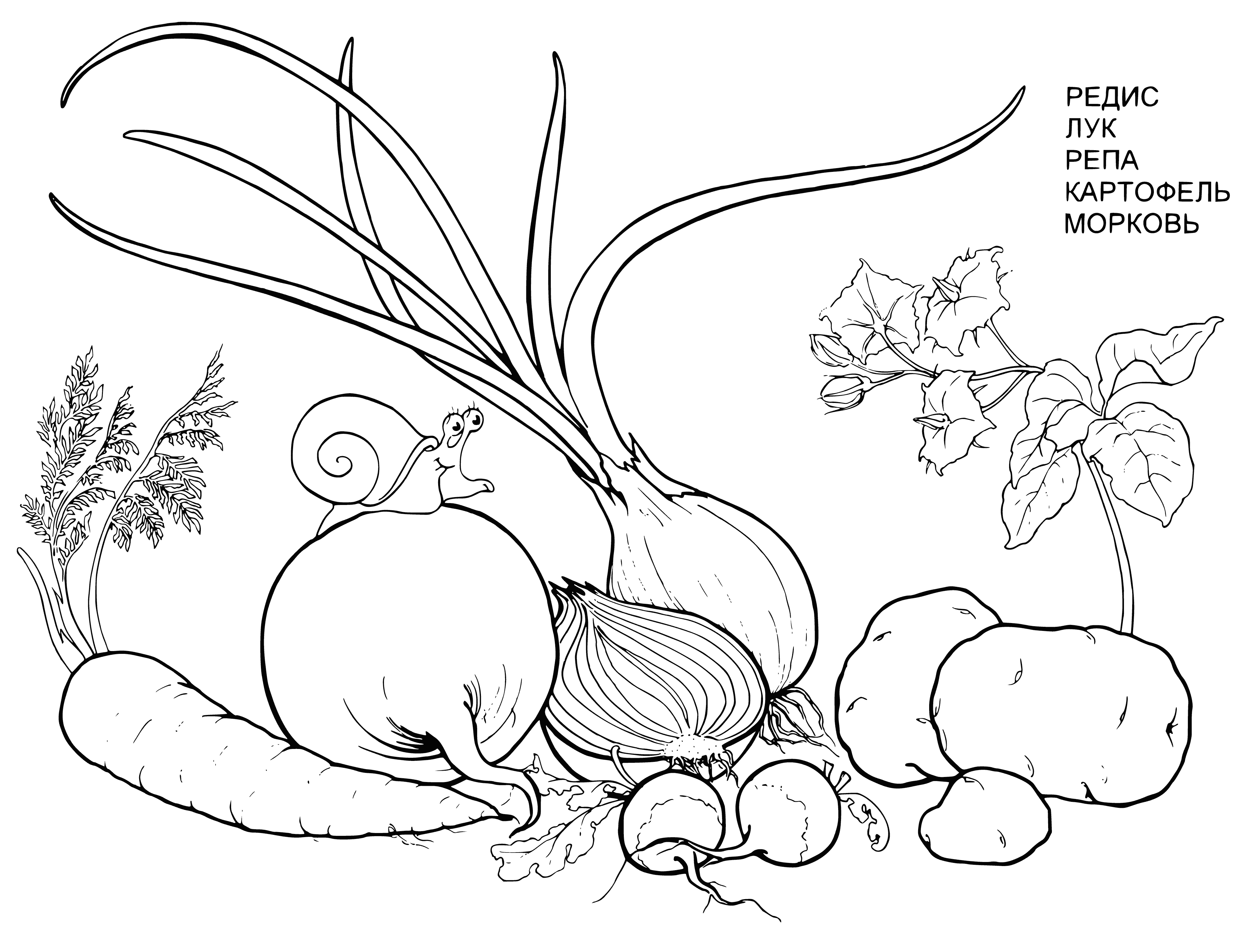 Vegetables from the garden coloring page