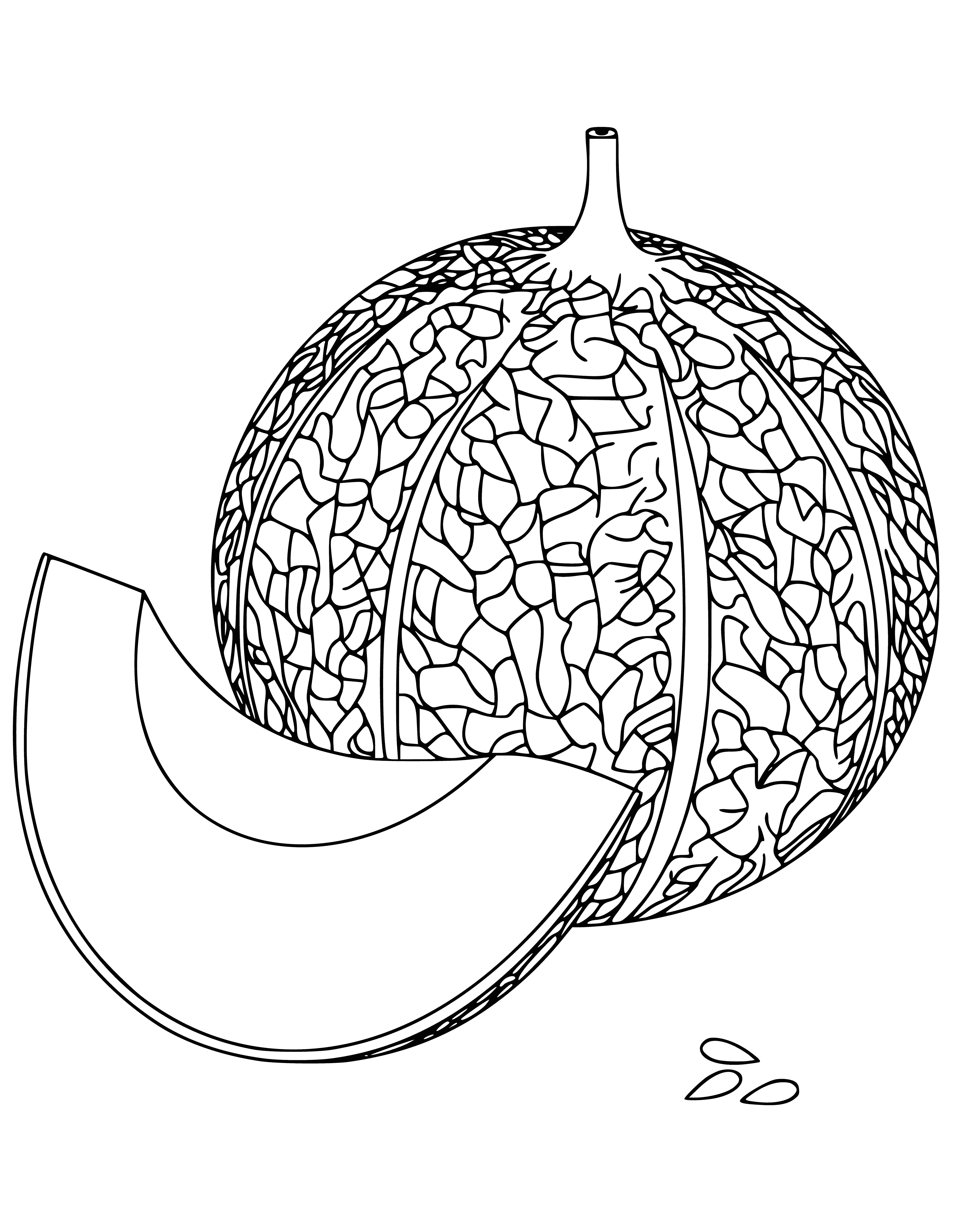 coloring page: Melons are sweet fruits with hard outer skin & edible flesh; they come in colors like green, yellow, & orange.