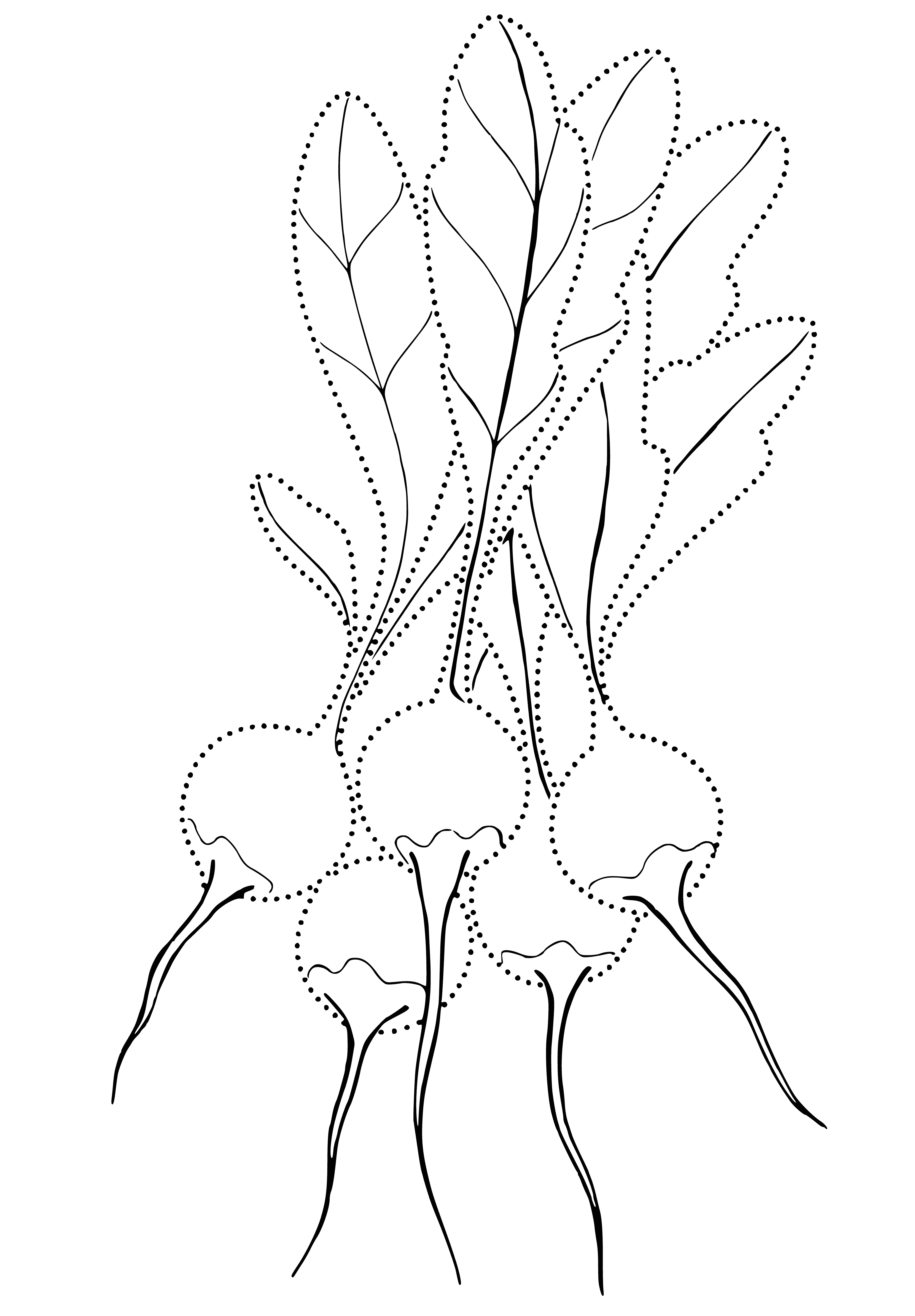 coloring page: A red radish with green stem & small leaves on top of stem. Round w/ pointy end, smooth & shiny skin. #veggies