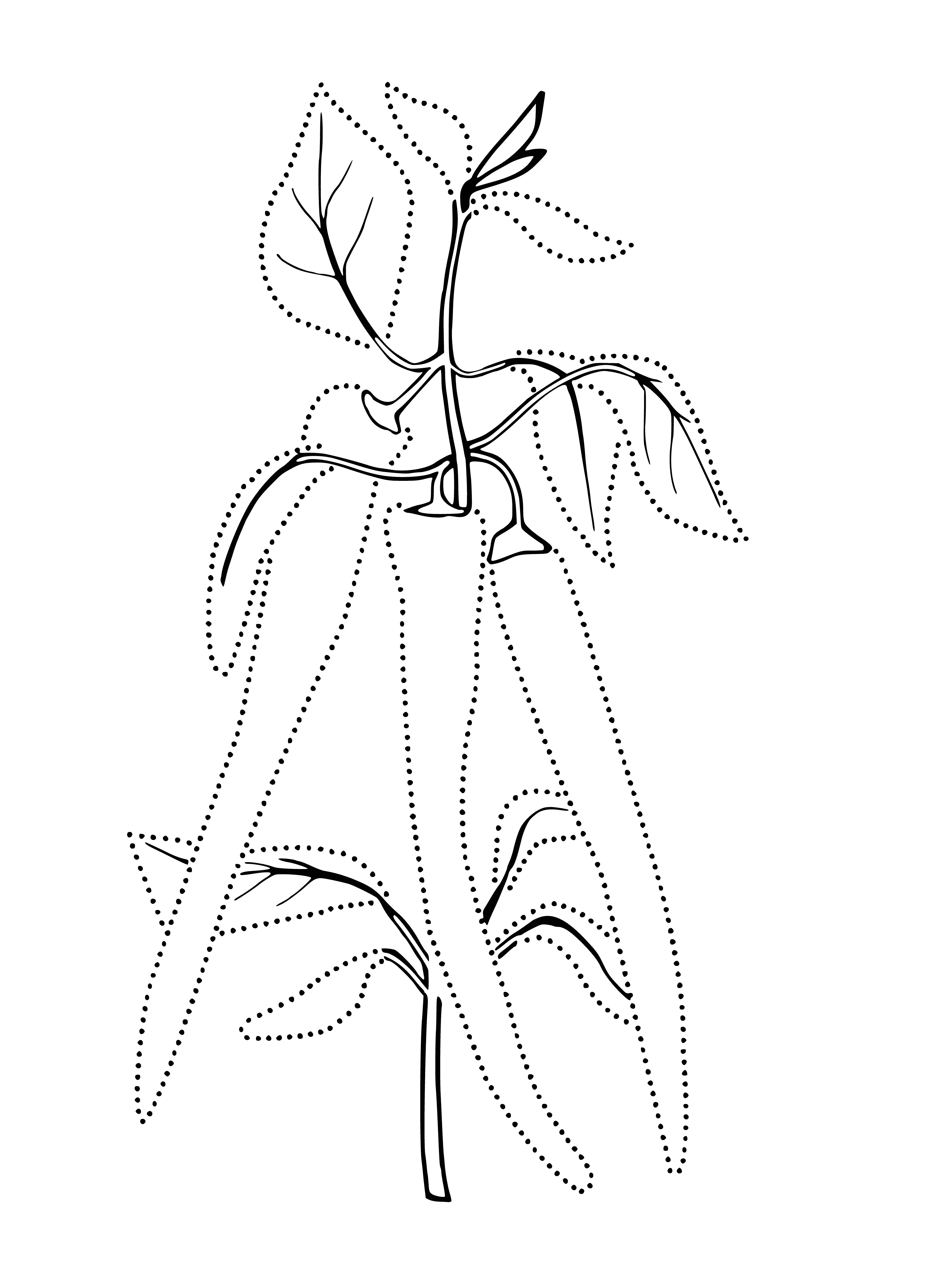 coloring page: Coloring pic of a green, slightly curved pepper with smooth surface & a stalk w/leaves attached. No blemishes. #Coloring
