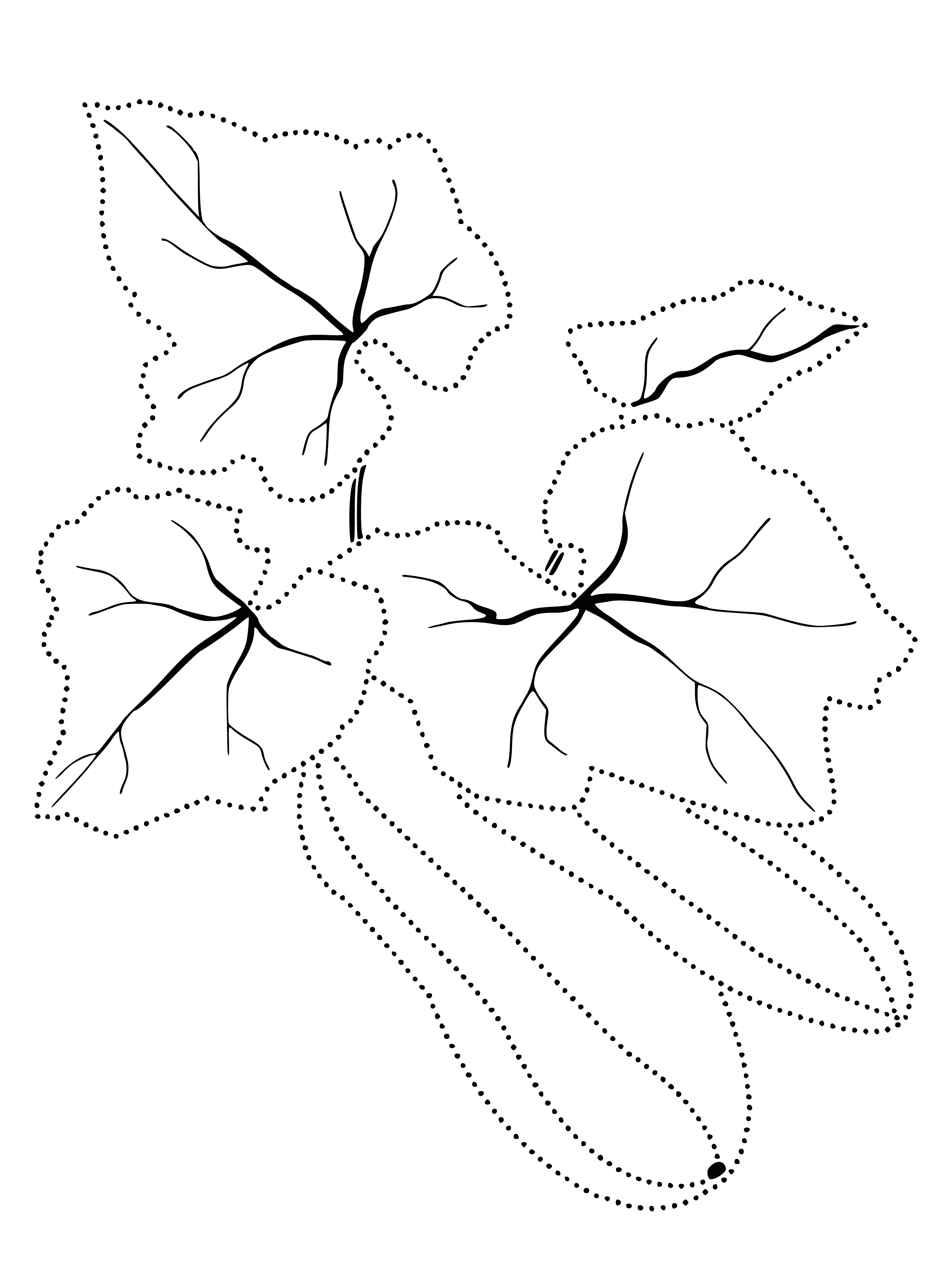 Zucchini coloring page