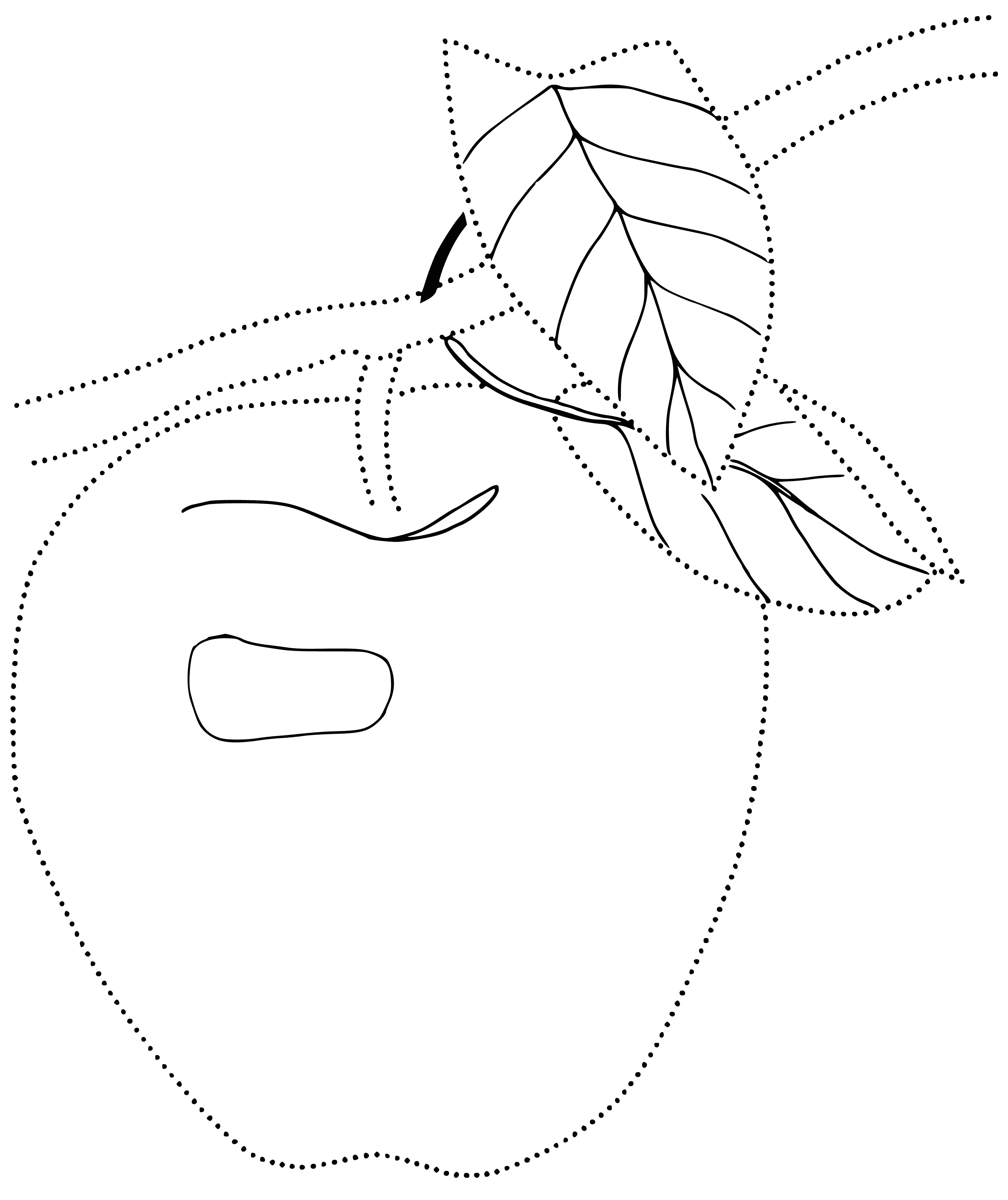 coloring page: Round fruit w/ hard, smooth skin, flesh is white/yellow/pink, has small hard seed inside. Colors: red, green, yellow or brown.