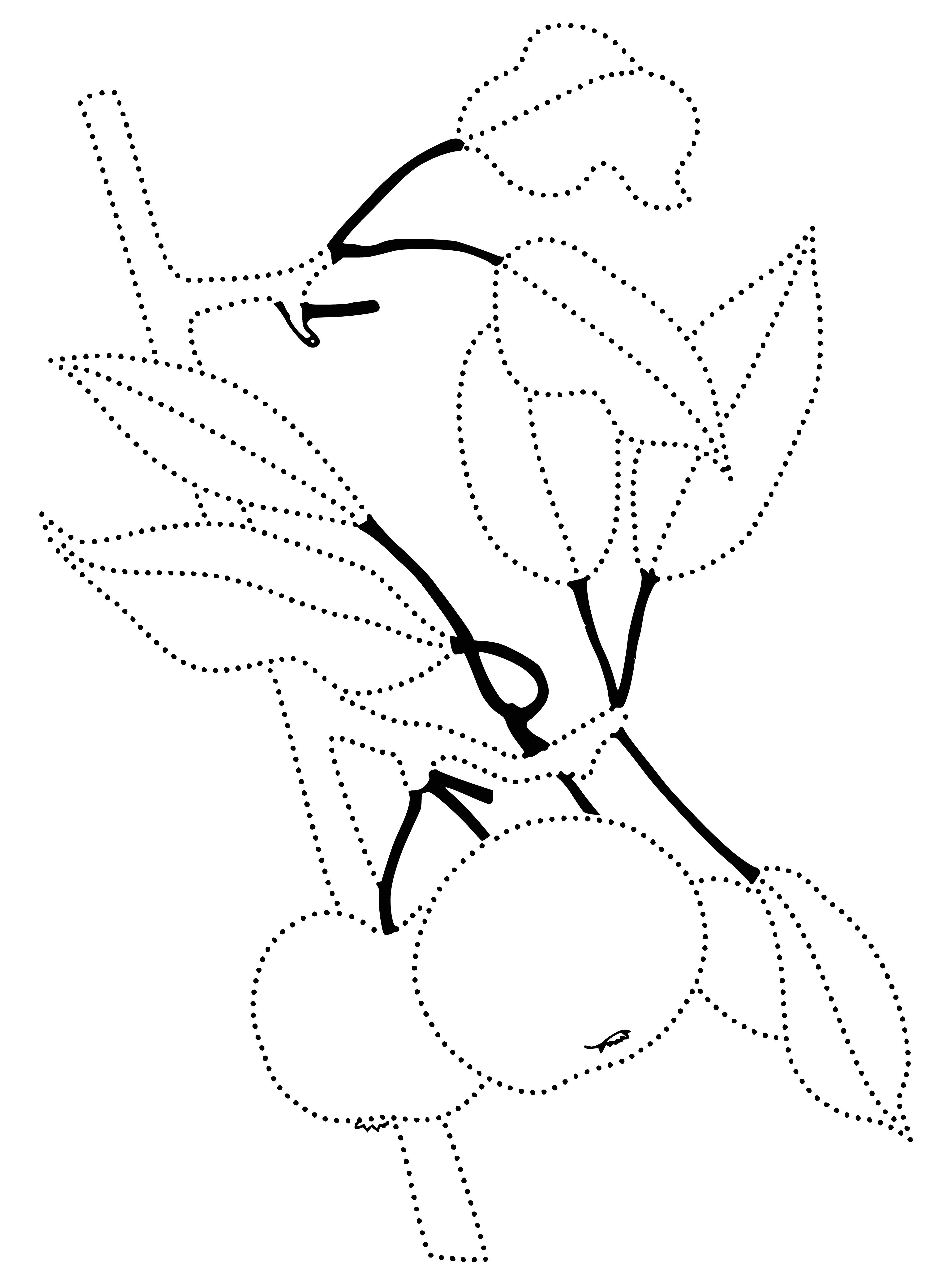 coloring page: Green and yellow leaves, with red and green apples decorate the apple tree branch.