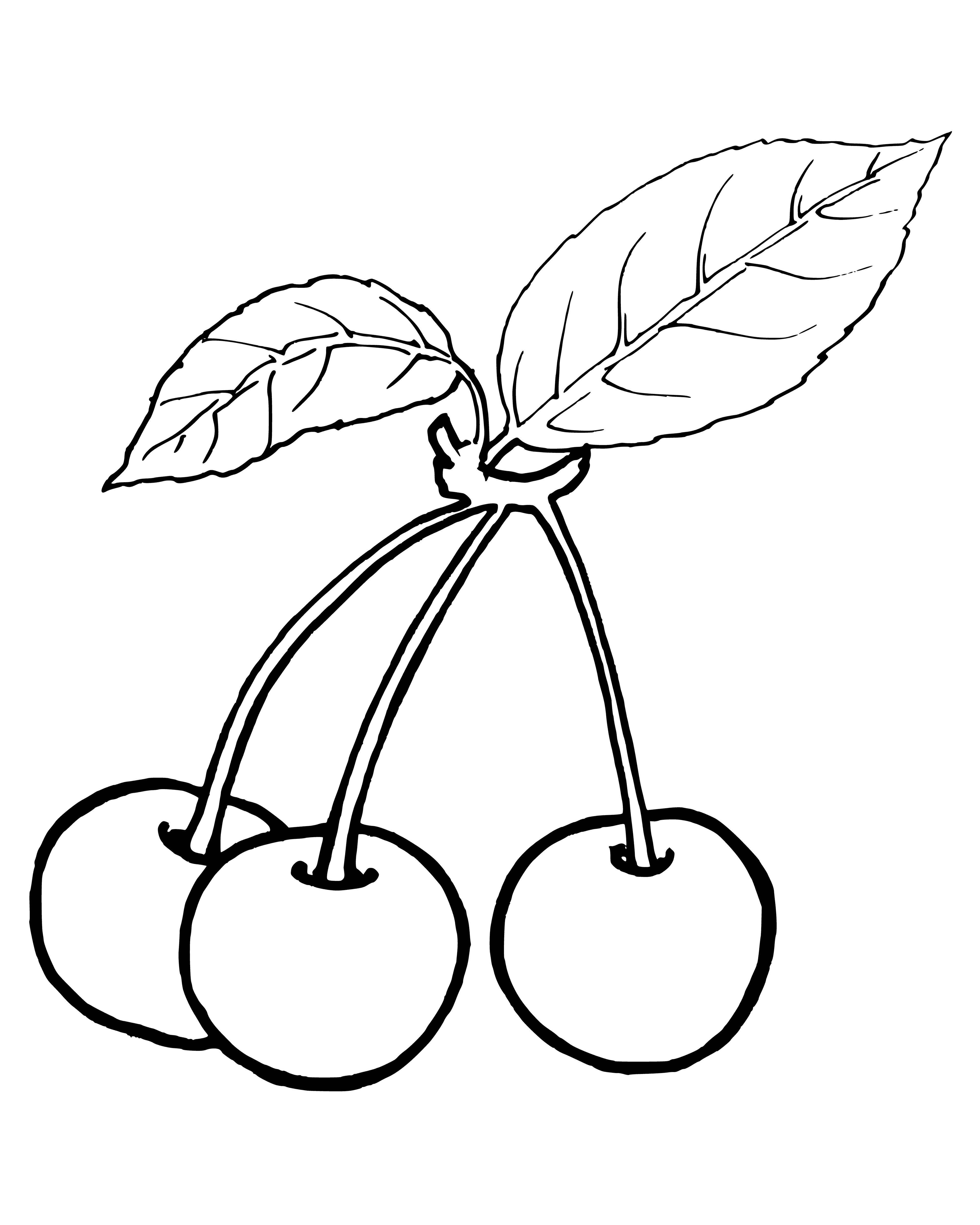coloring page: Cherries are small, red fruits that grow in clusters; important food for birds, bears, and humans.