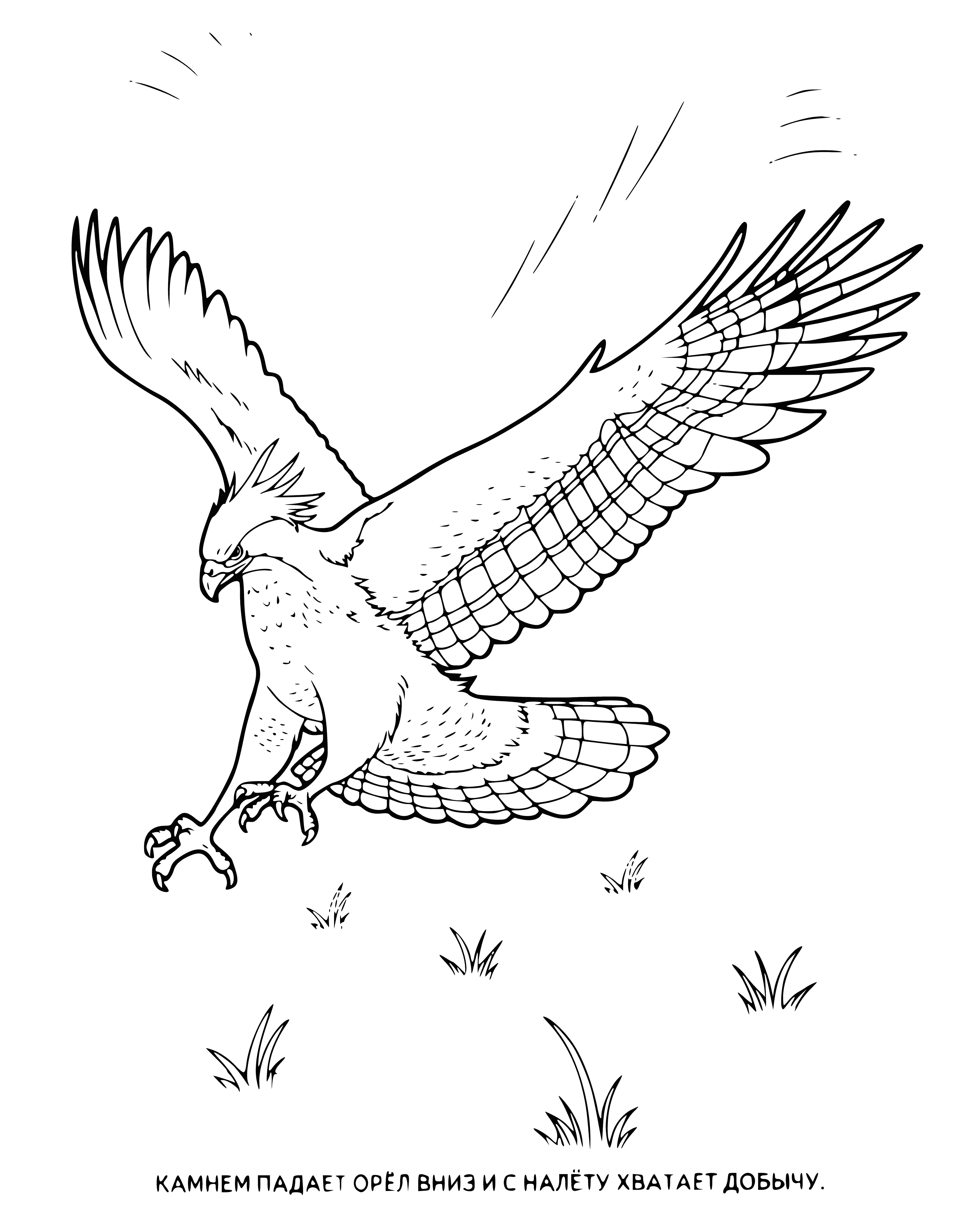 coloring page: The eagle has dark brown body, light brown head, yellow beak, and sharp talons. It flies above water, with mountains and trees in the distance.