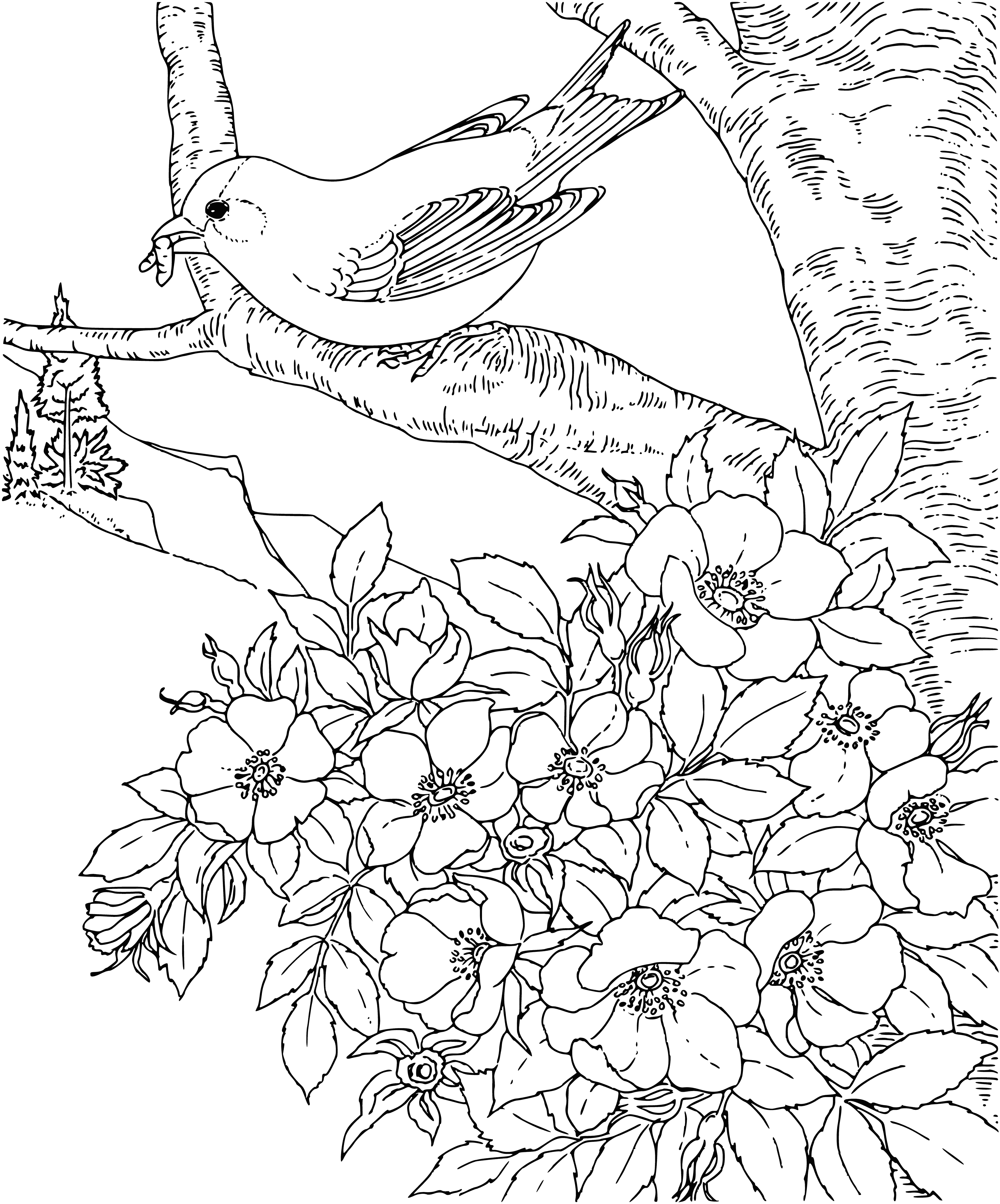 Oriental goldfinch coloring page