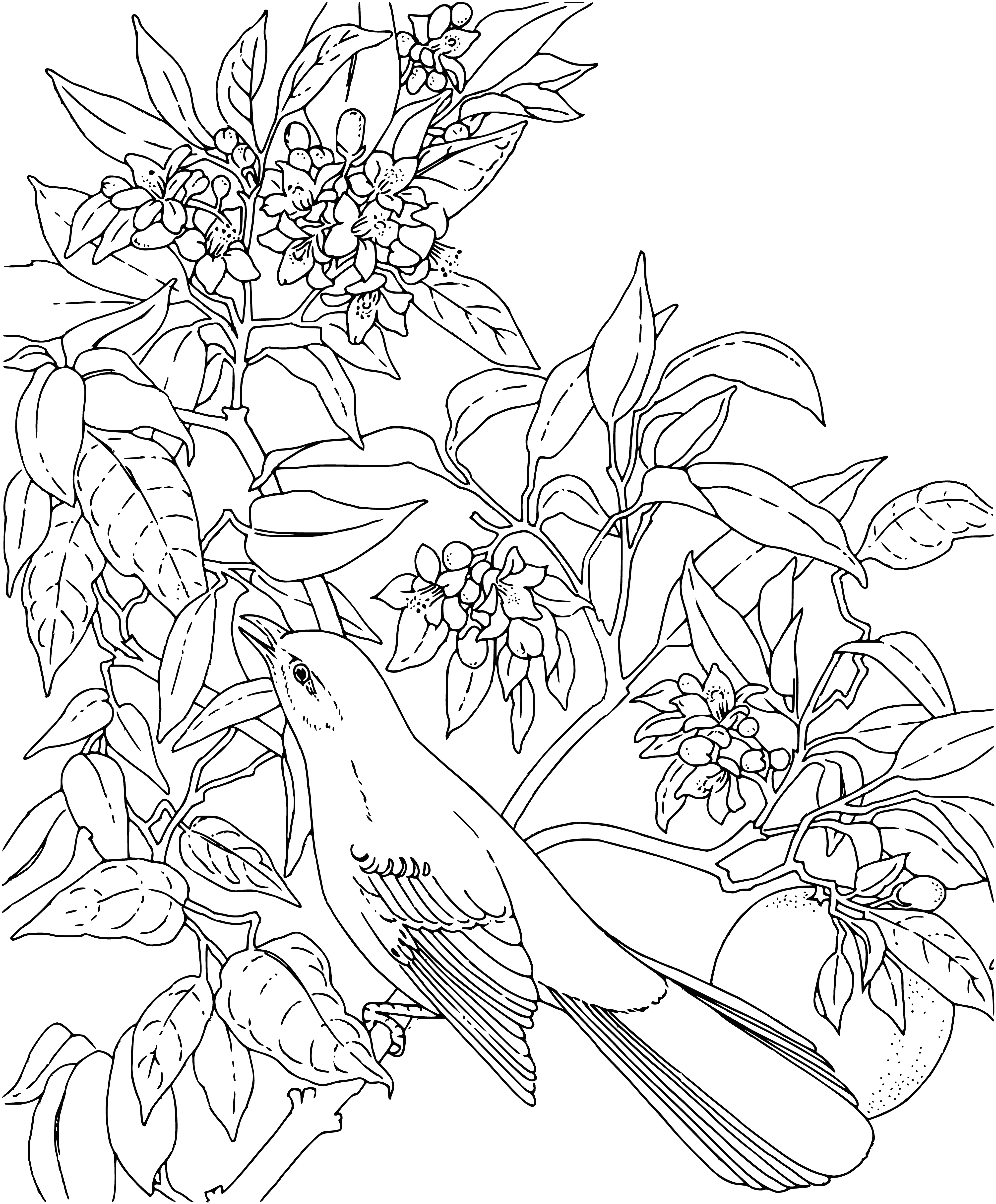coloring page: Mockingbird on leafless branch surrounded by snow-covered landscape; gray & white feathers, long tail, black beak & black legs.