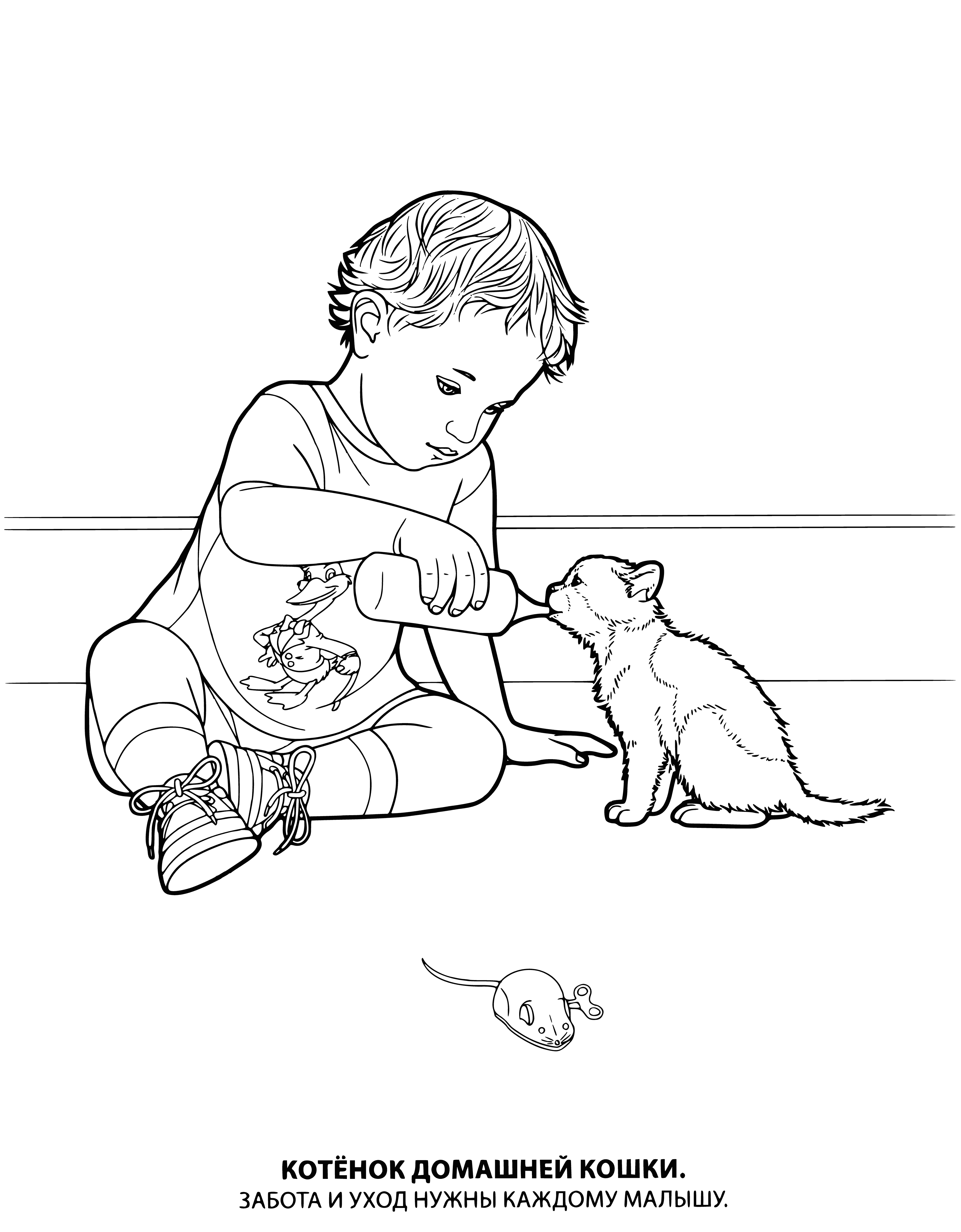 coloring page: Two small, fluffy kittens cuddle together on a blue blanket, one black and one gray and white. Big green and blue eyes gaze contentedly, tails wrapped around each other.