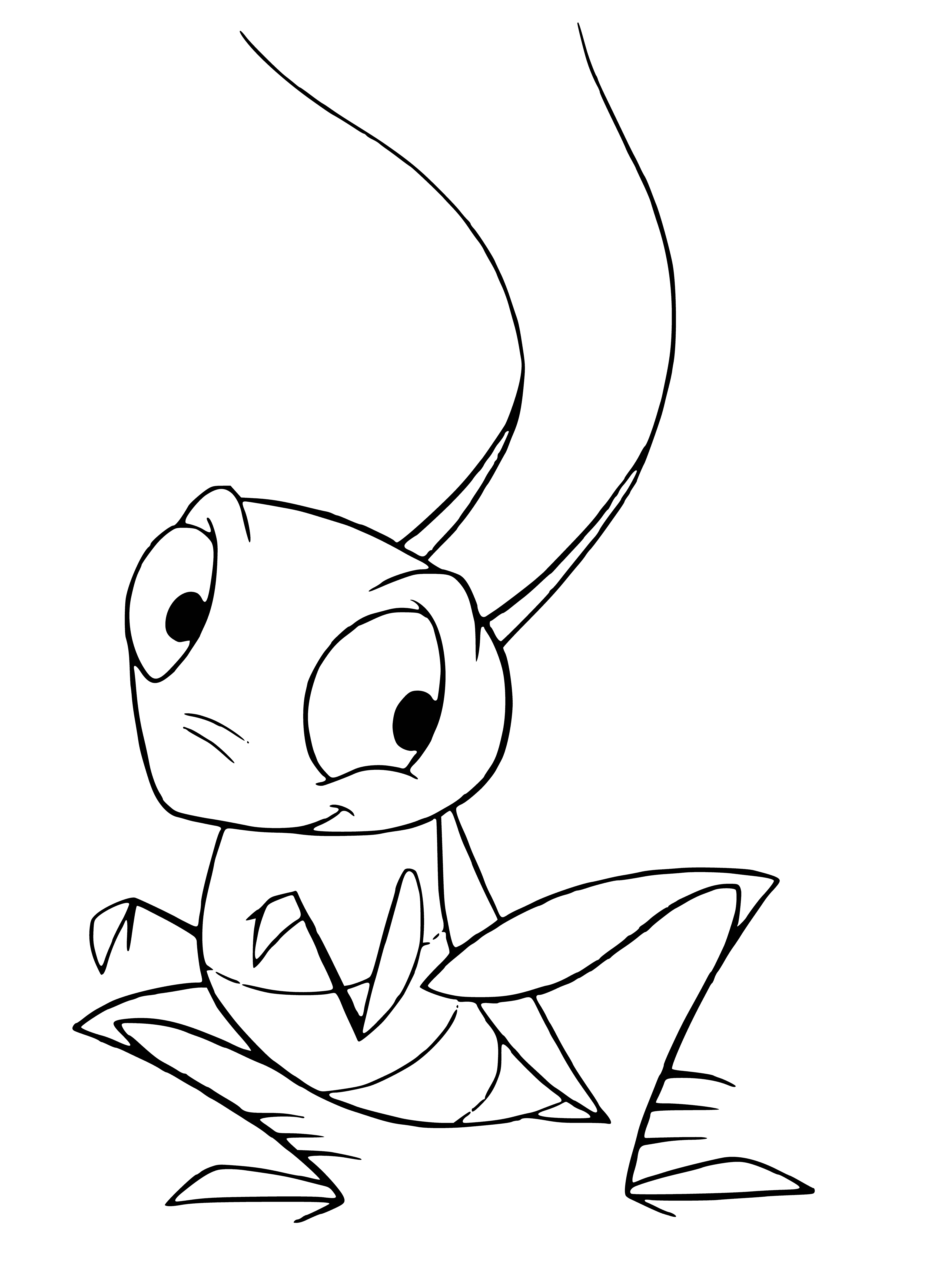coloring page: Cree-Key Cricket: beautiful black & white, long wings & legs with striped abdomens.