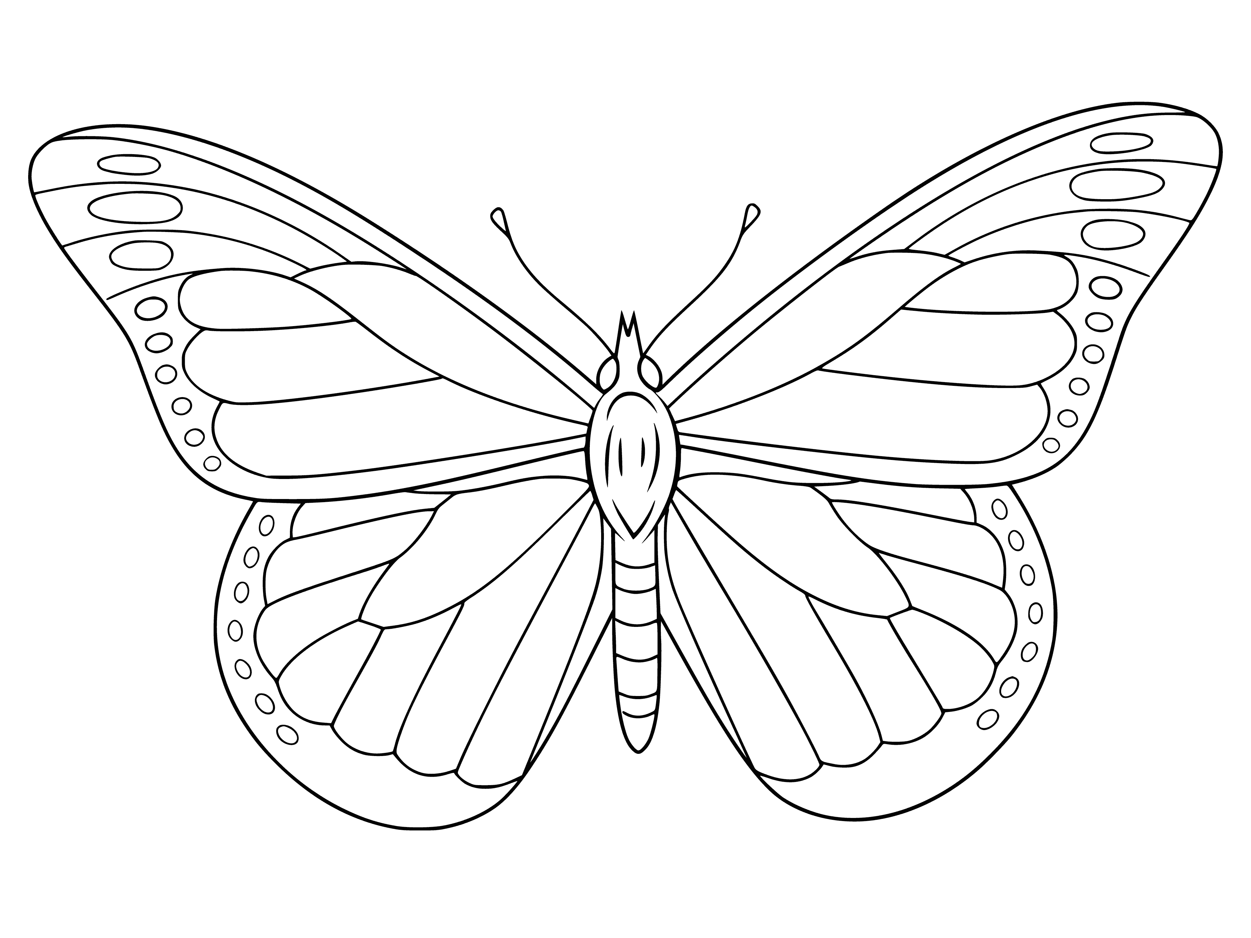 coloring page: Close-up of colorful butterfly's wings- left yellow with black spots; right black with yellow spots; body black & white. #Butterfly