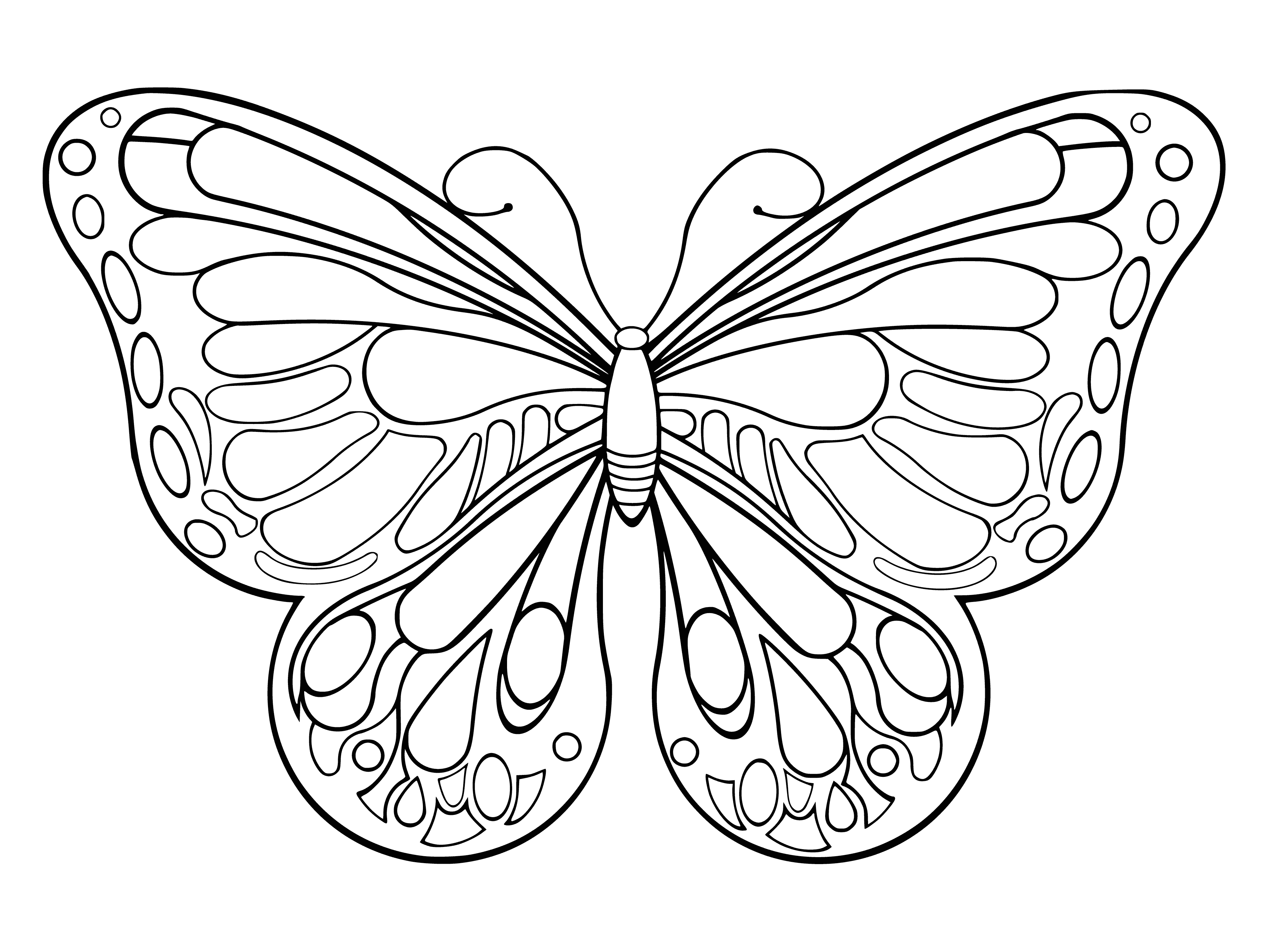 coloring page: Close-up coloring page of light blue butterfly resting on flower, with black and white markings on wings. #coloring #butterfly