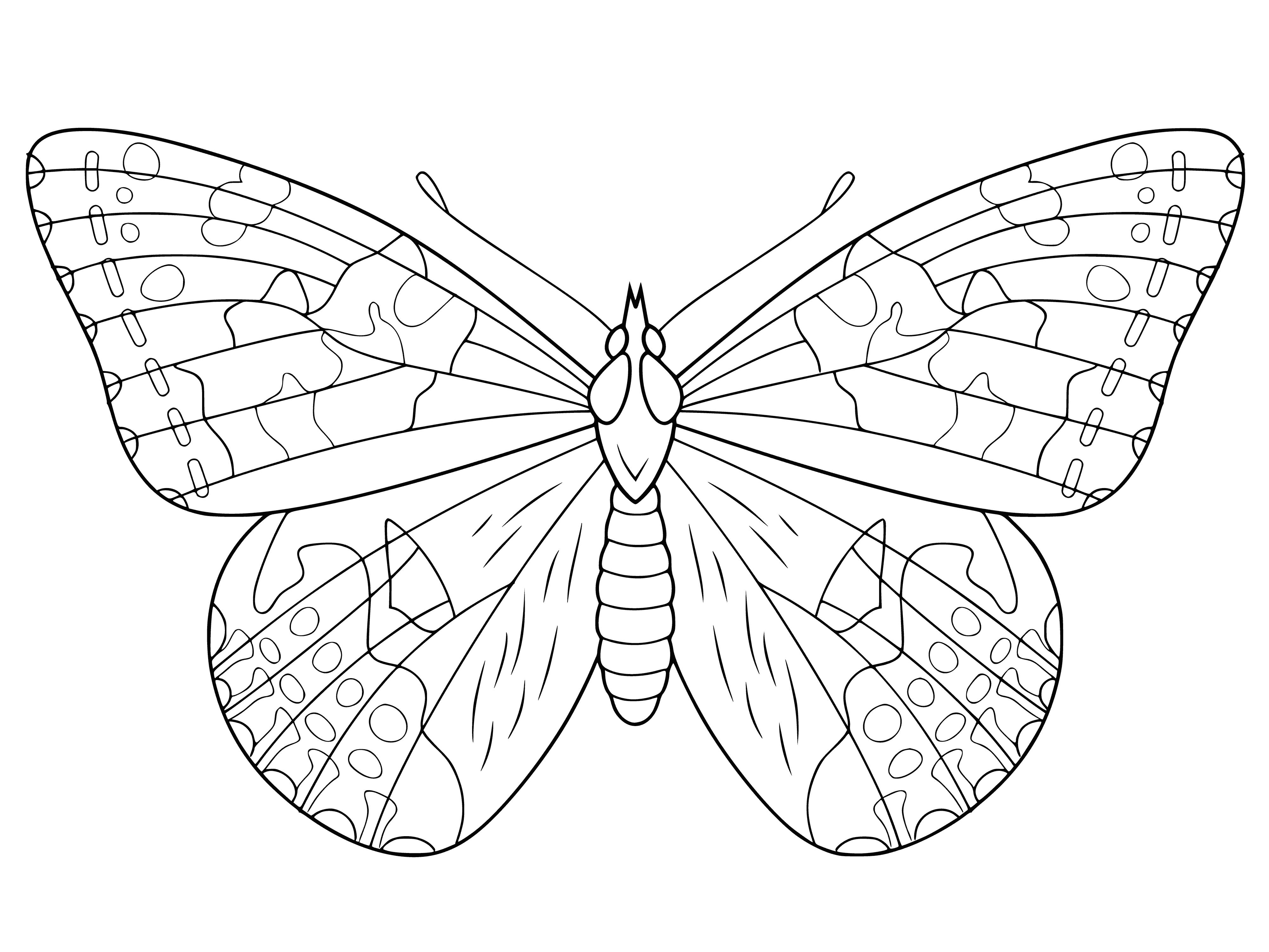 coloring page: Butterfly with large, colorful wings is flying, flapping its gentle wings in yellow, orange and black.