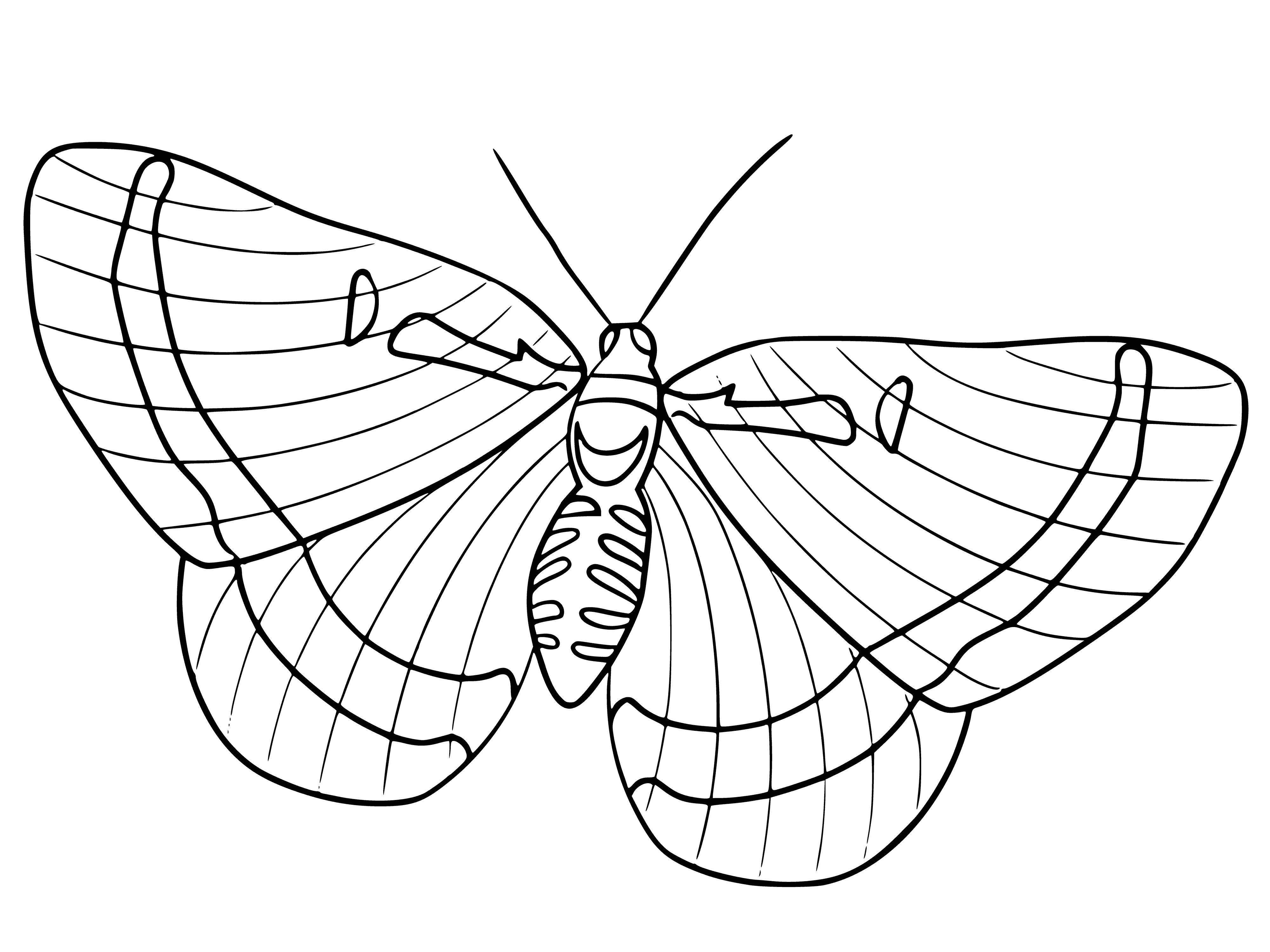 coloring page: Butterfly flaps near purple flowers, its wings outstretched in a mixture of yellow and black.