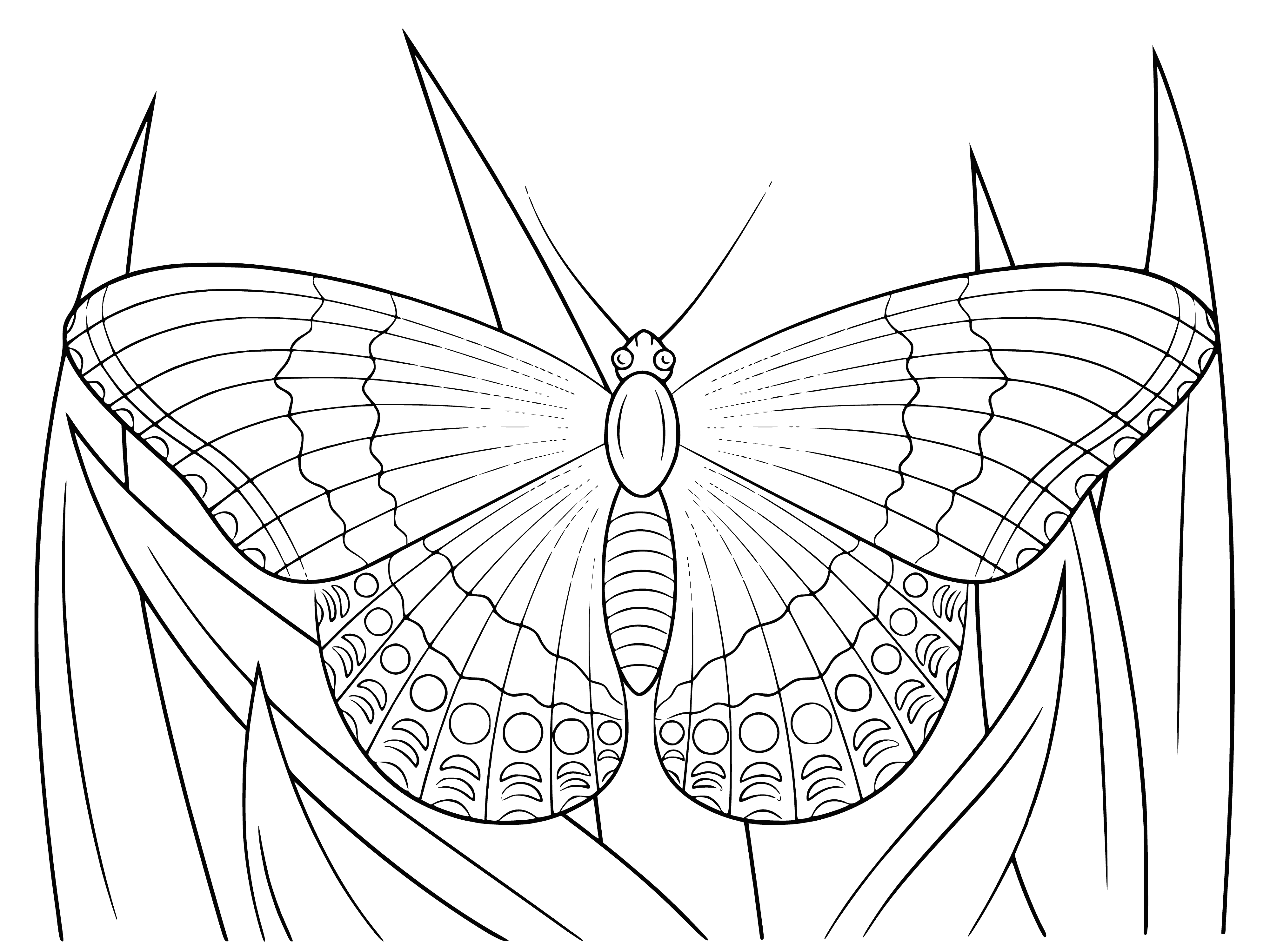 coloring page: Butterfly sits on blade of grass, its wings a light brown with black spots; grass a bright green.