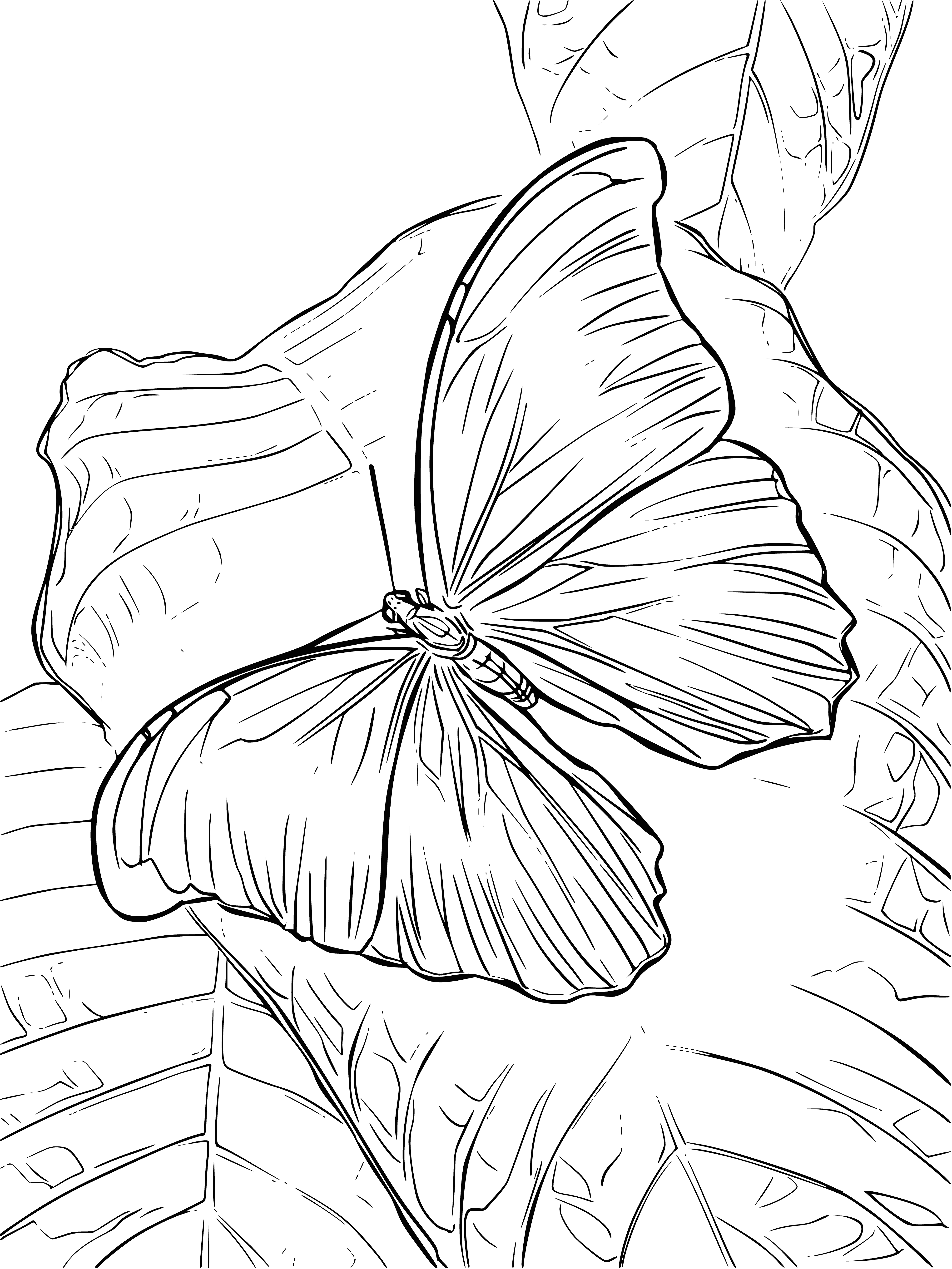 coloring page: Butterfly rests atop green leaf, revealing intricate patterns on wings. Dark body w/ lighter stripes & long, thin antennae curling up at tips.