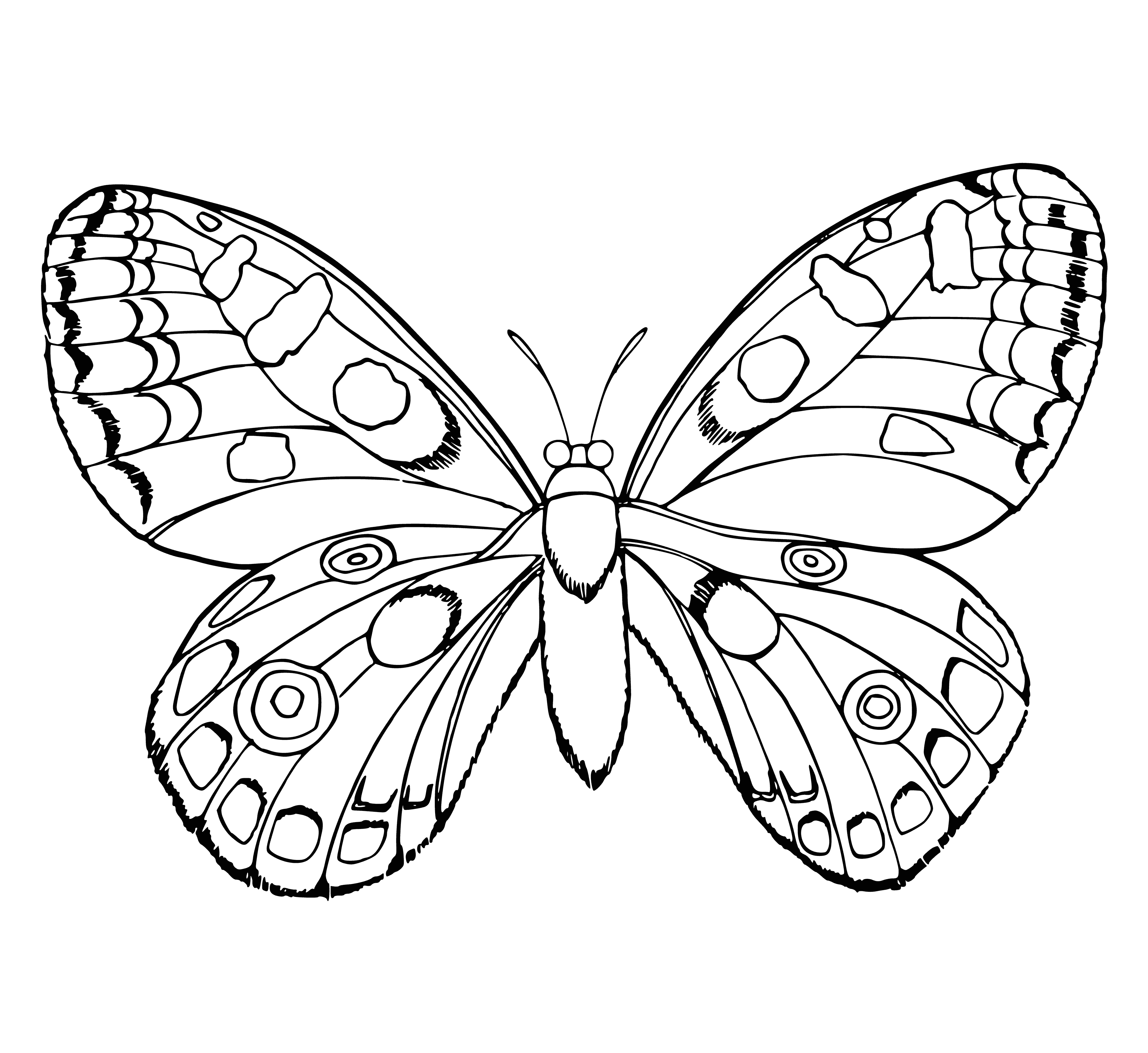 coloring page: Group of butterflies in vibrant colors, perched atop tree and basking in the sun; some flying away, others still.