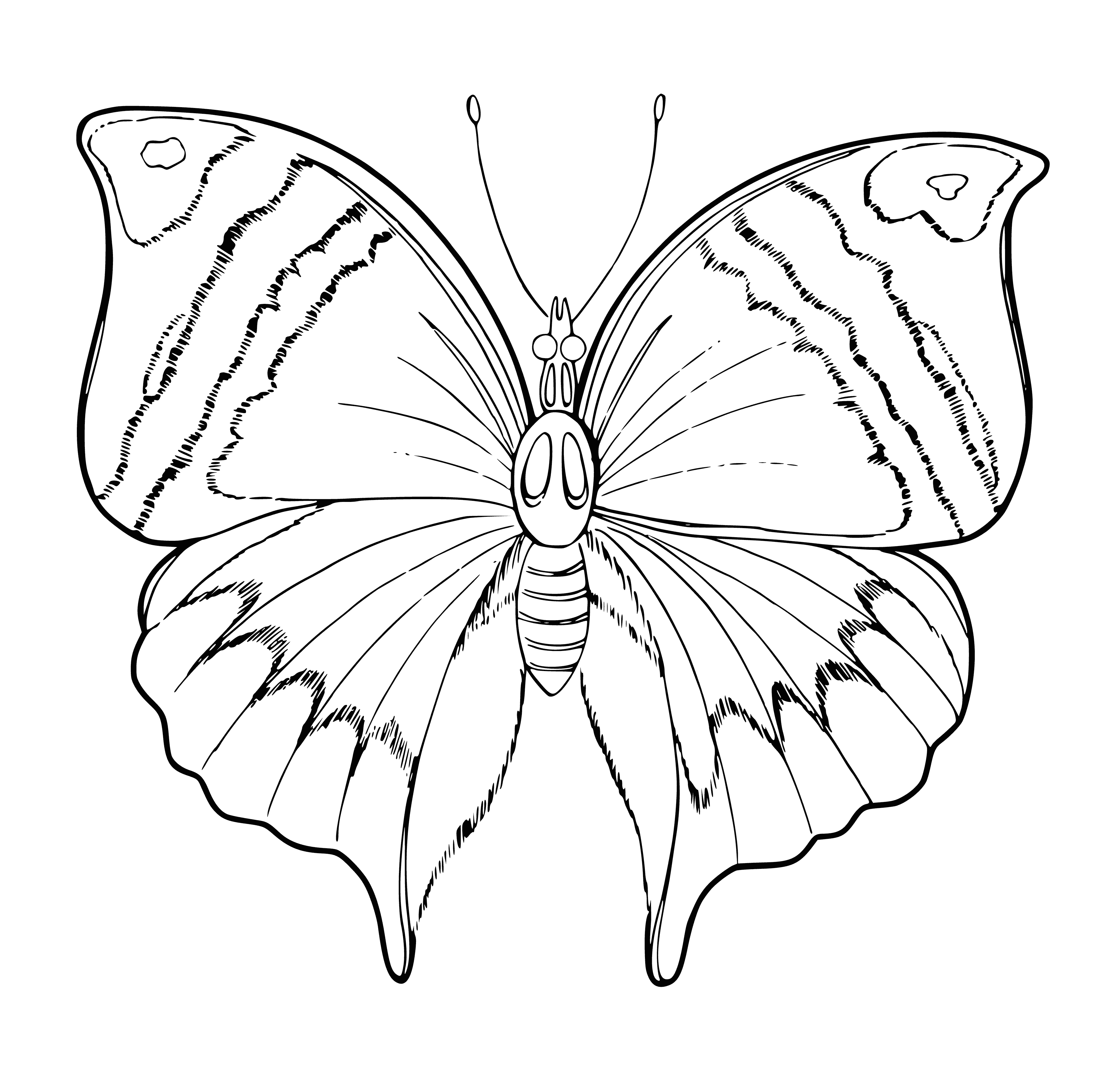 coloring page: Butterfly flies w/ one orange & one brown wing & a long brown body.