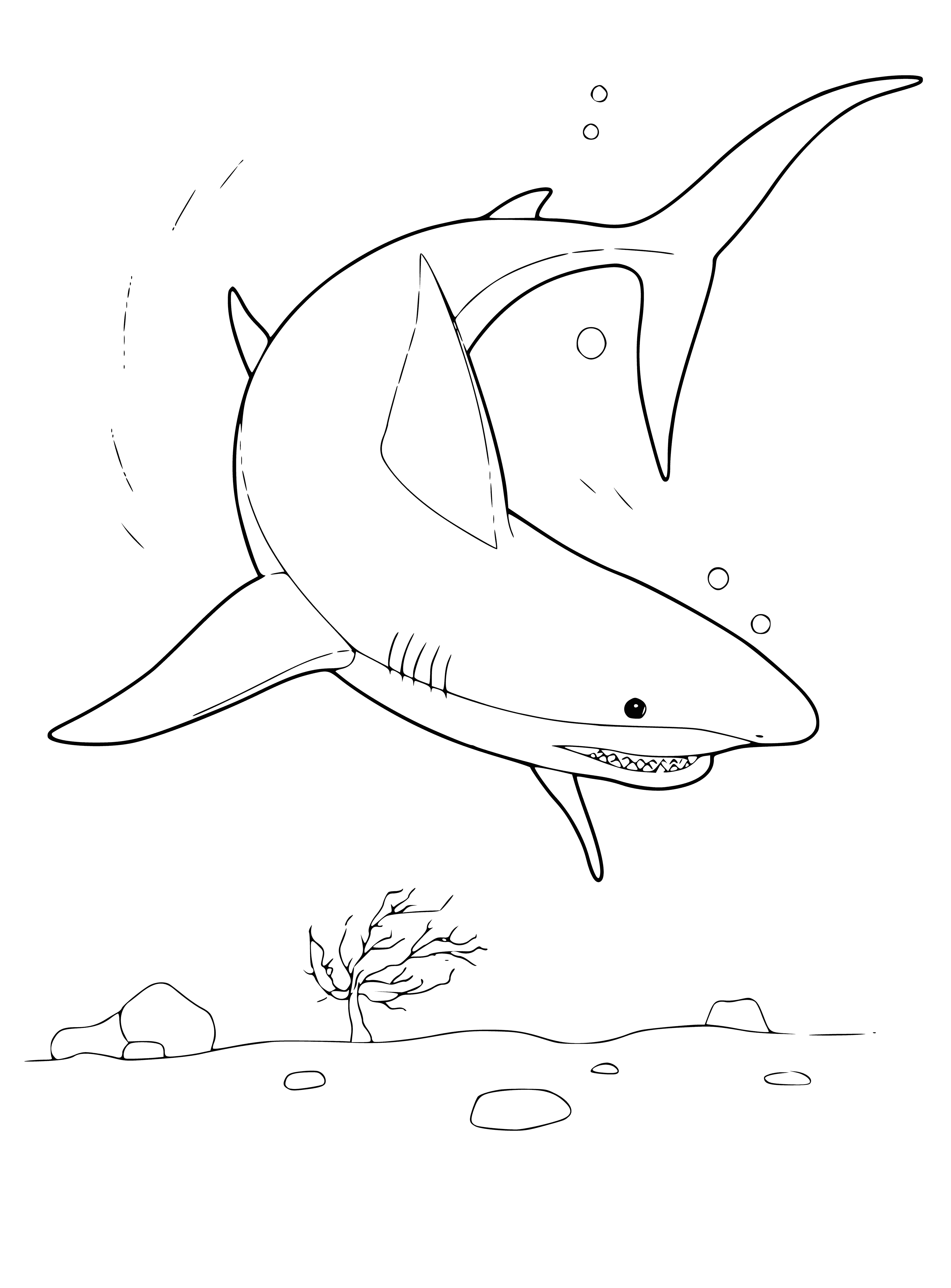 coloring page: Large, gray shark with long nose & pointed fins, body covered in sharp teeth, swimming quickly through the water.