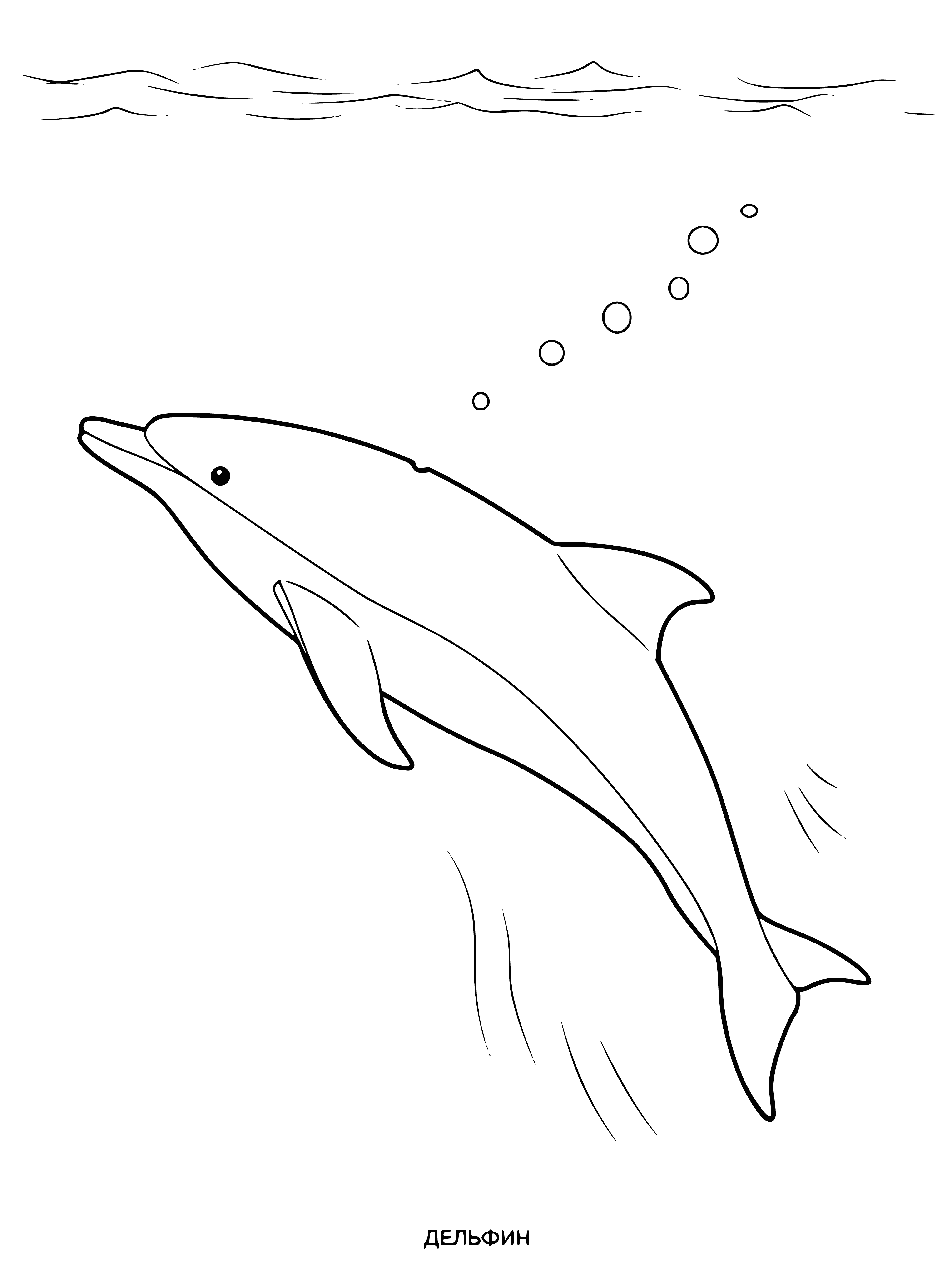 coloring page: Beautiful dolphin with light blue body, white nose, yellow belly, and long muscular tail gracefully swimming through the water. #Nature