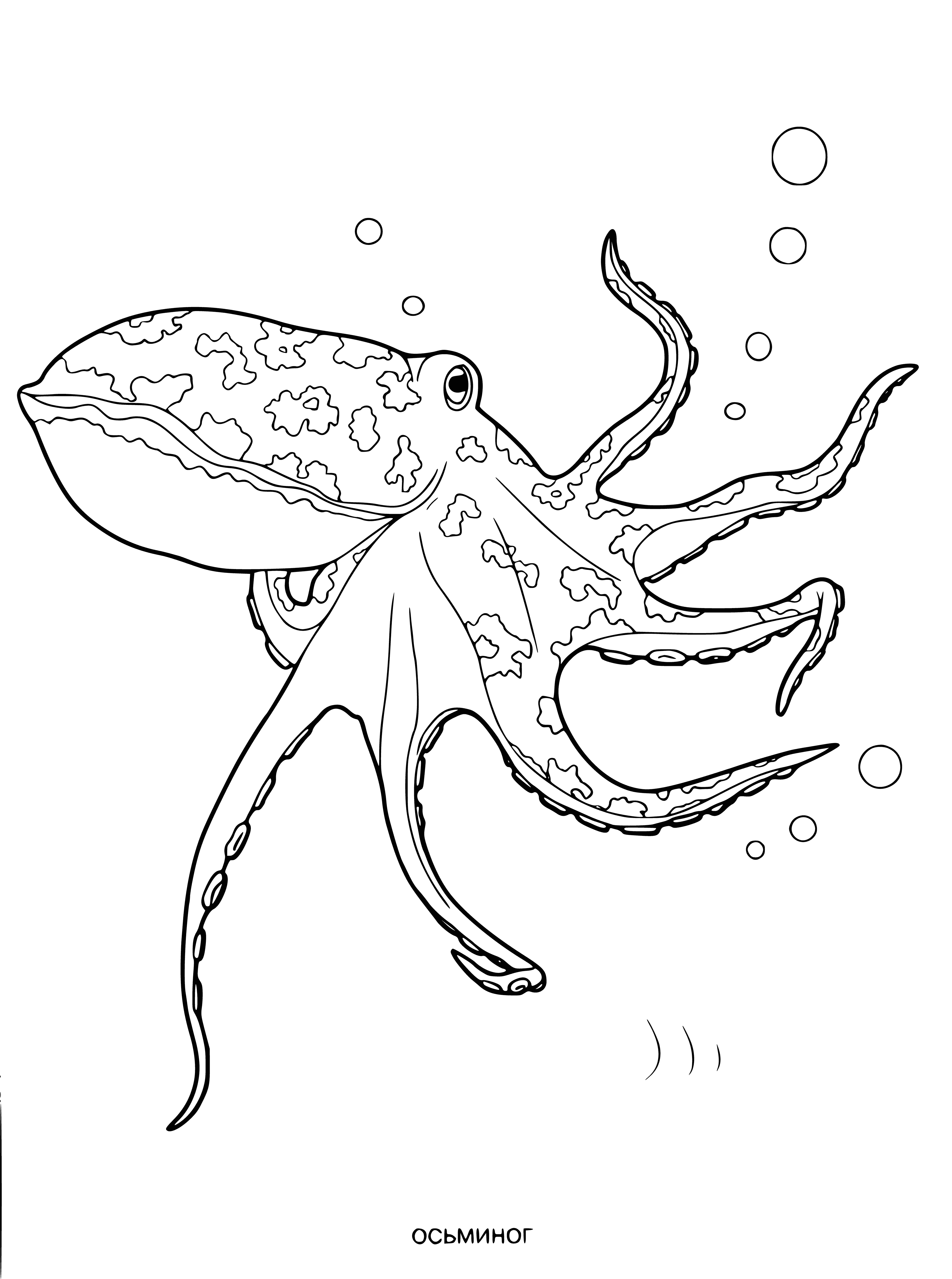 coloring page: Octopus in a dark and white coloring page. Round body with 8 long and thin legs, small head with 2 big eyes and a long, thin beak.