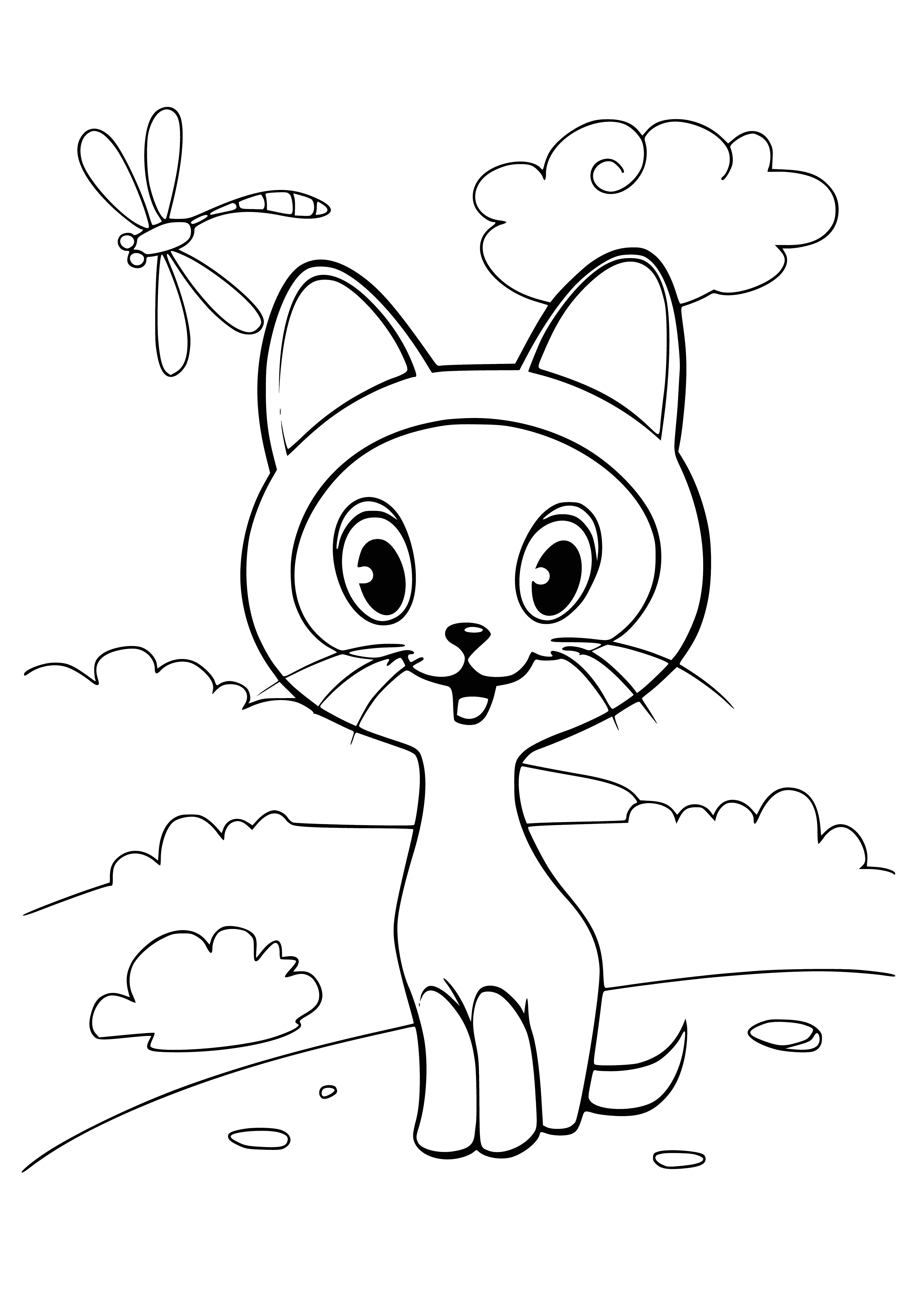 coloring page: Adorable, light-colored kitten w/ short fur & big blue eyes looks like it's very young - perfect for a coloring page!