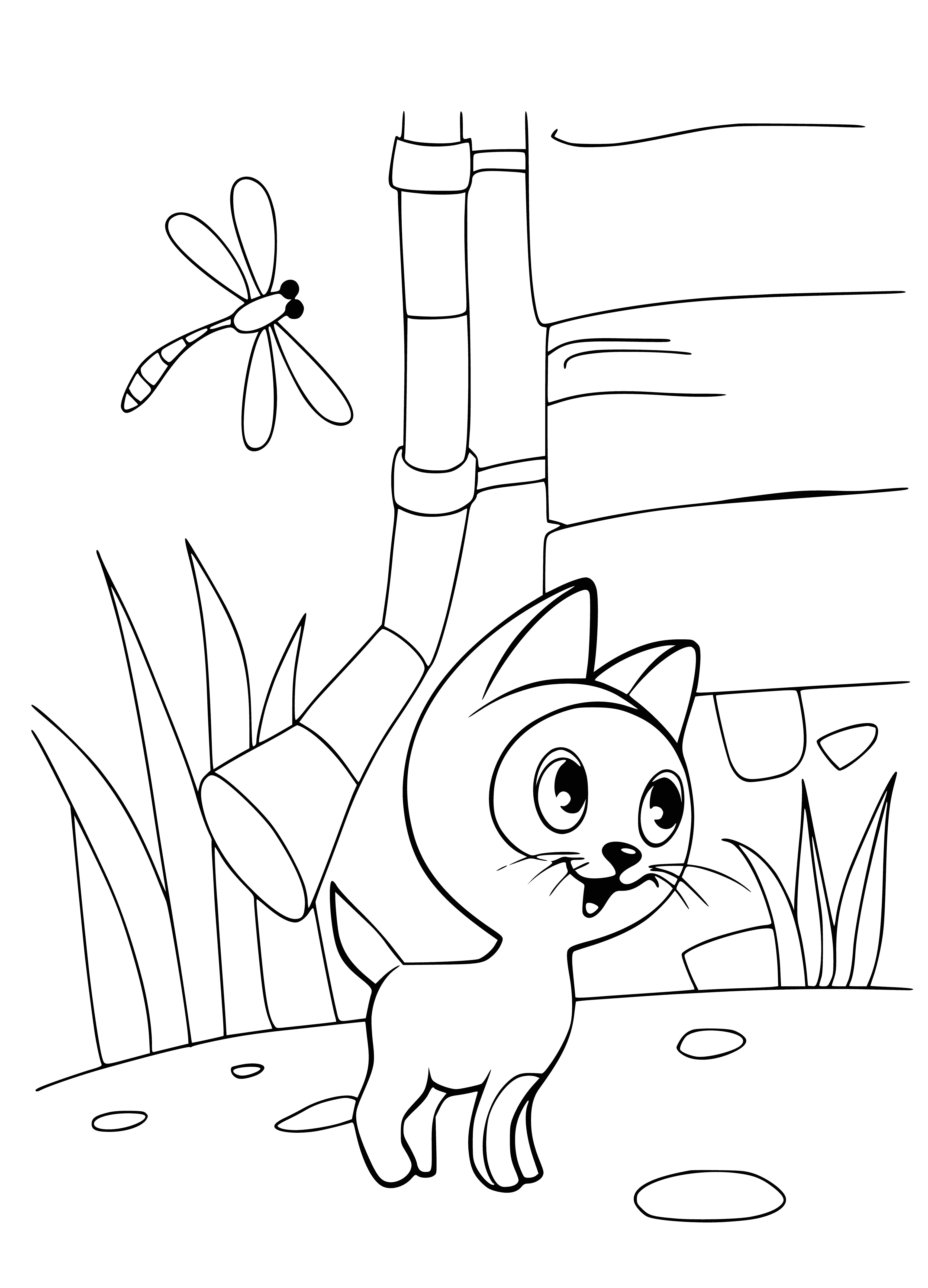 coloring page: Adorable ginger kitten with big green eyes and soft, fluffy fur - I could cuddle it all day!