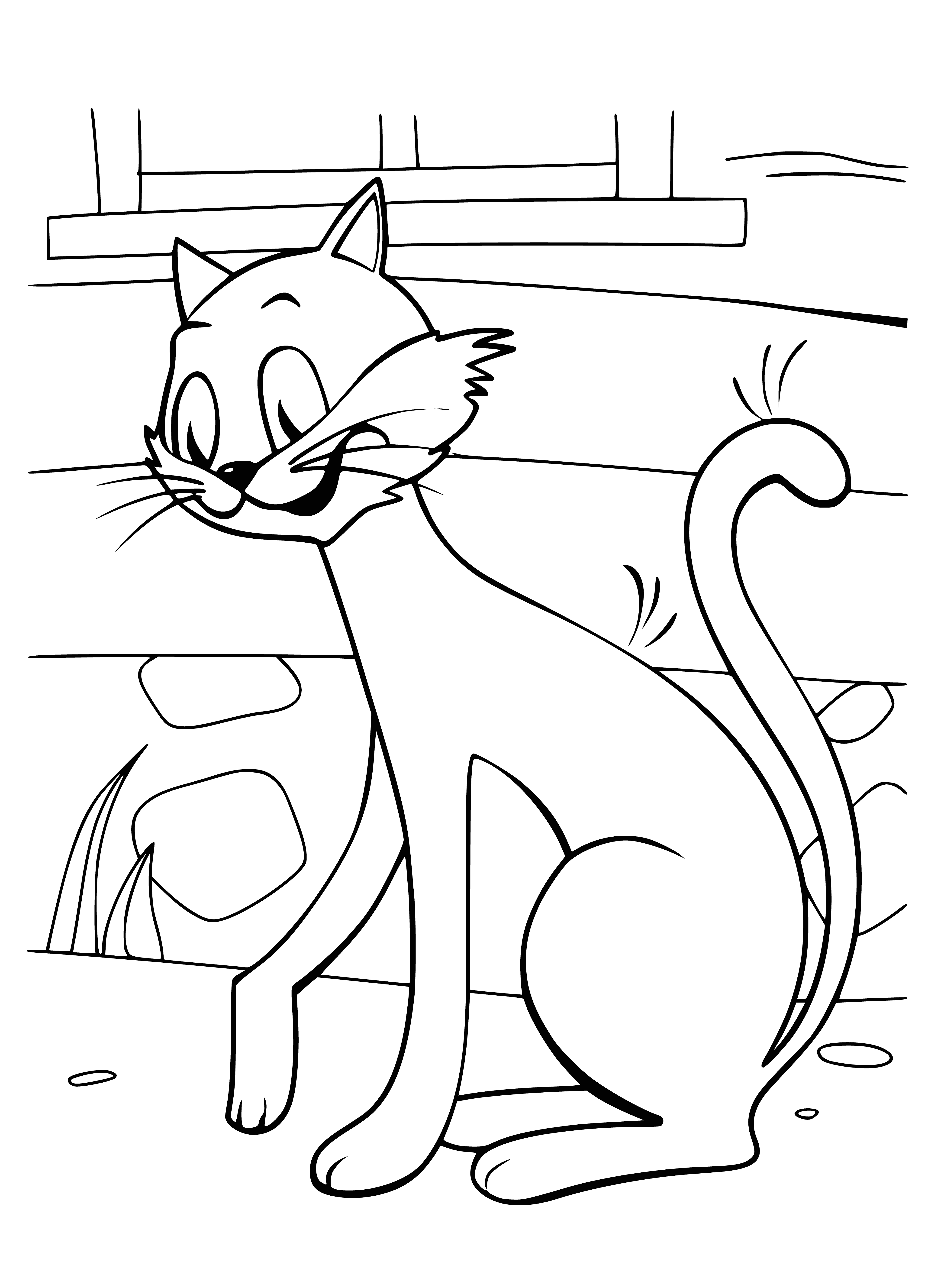 coloring page: Adorable light brown tabby kitten sitting in green grass with yellow flowers around it. White muzzle and front paws.