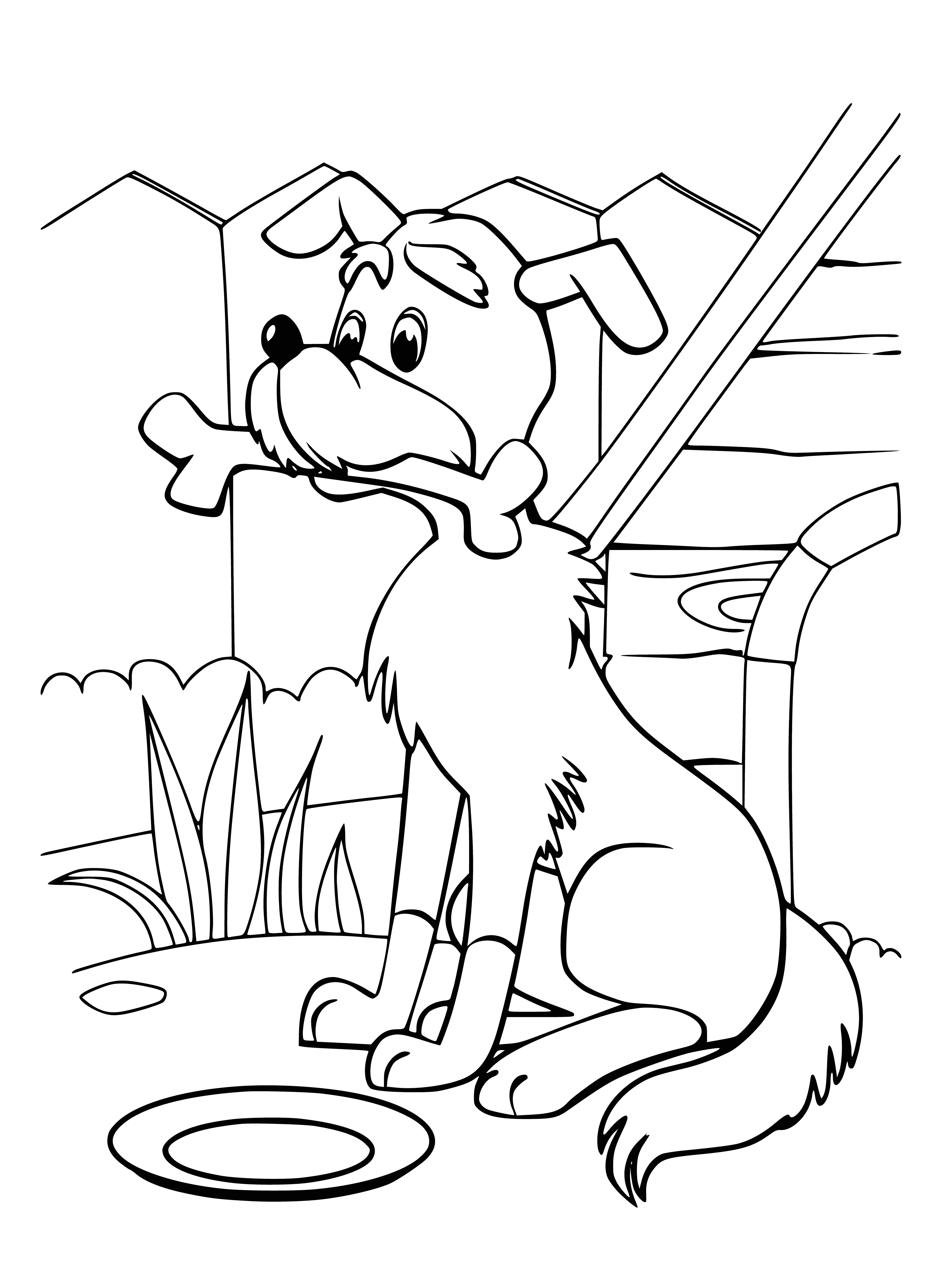 coloring page: Short-haired black and white kitten, Woof, looks curiously into the camera with big blue eyes.